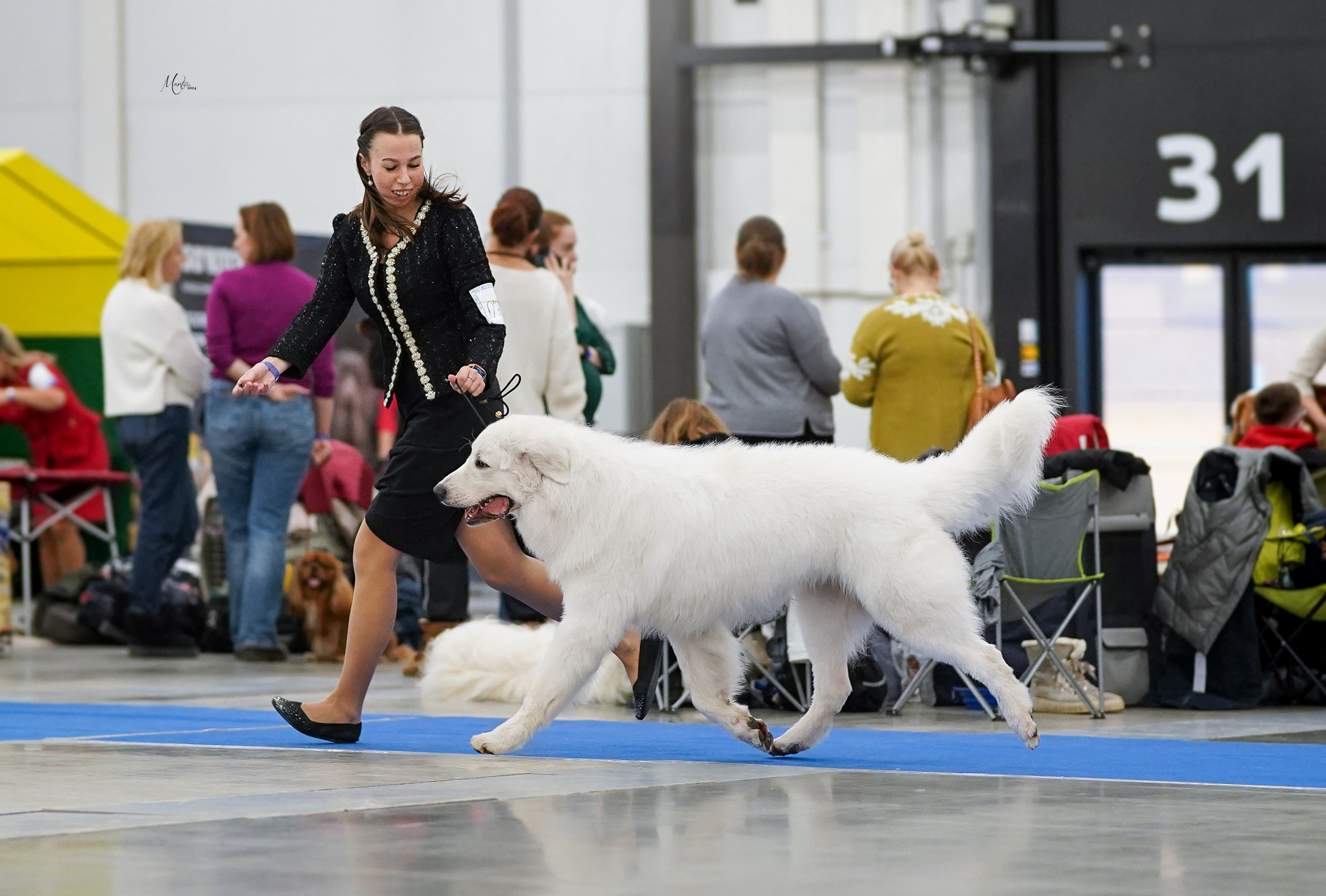 Выставки 2024. Фотограф-анималист в Санкт-Петербурге Яна Мартынова