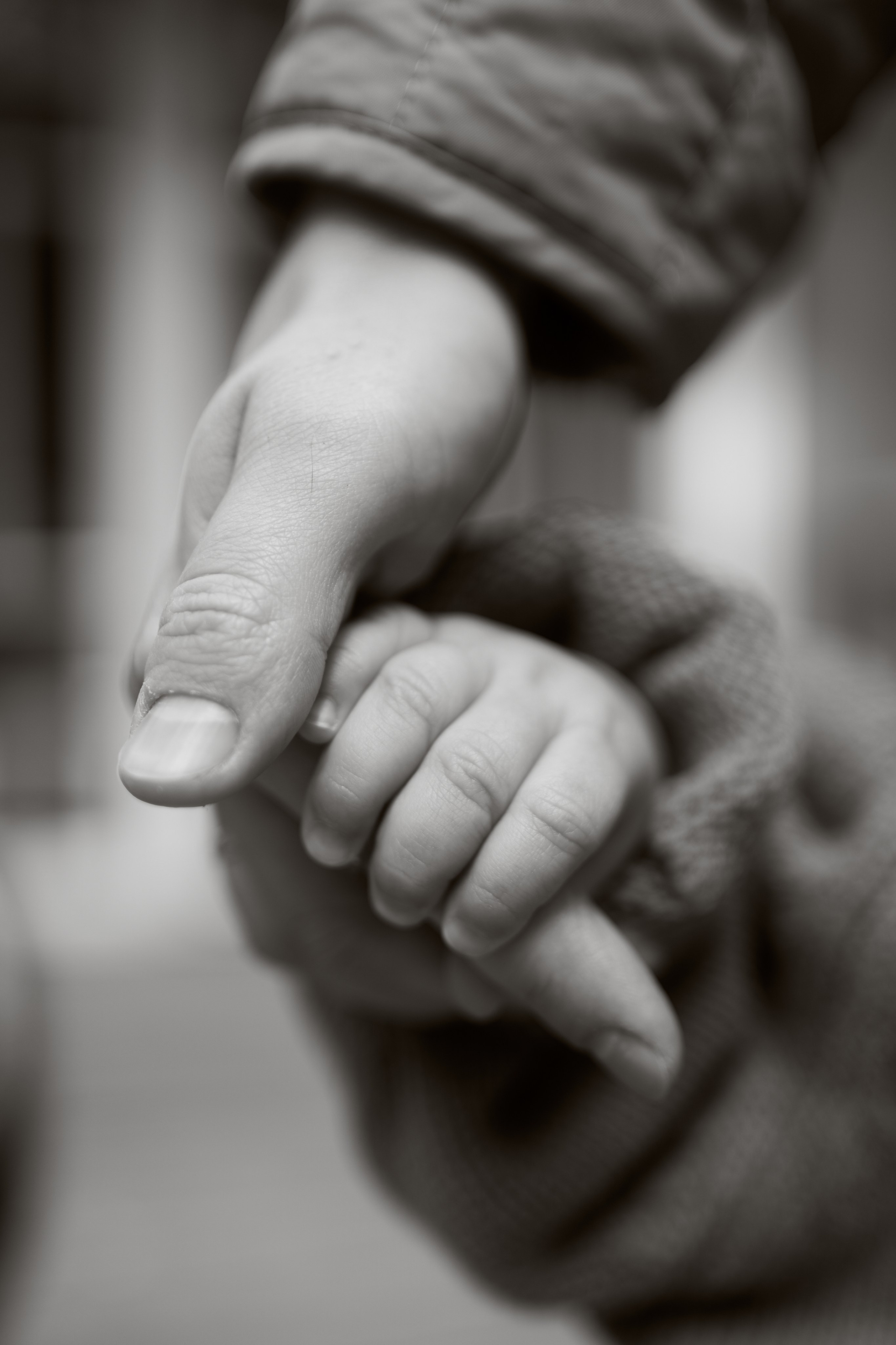 Первые шаги. Фотограф анималист Москва Дарья