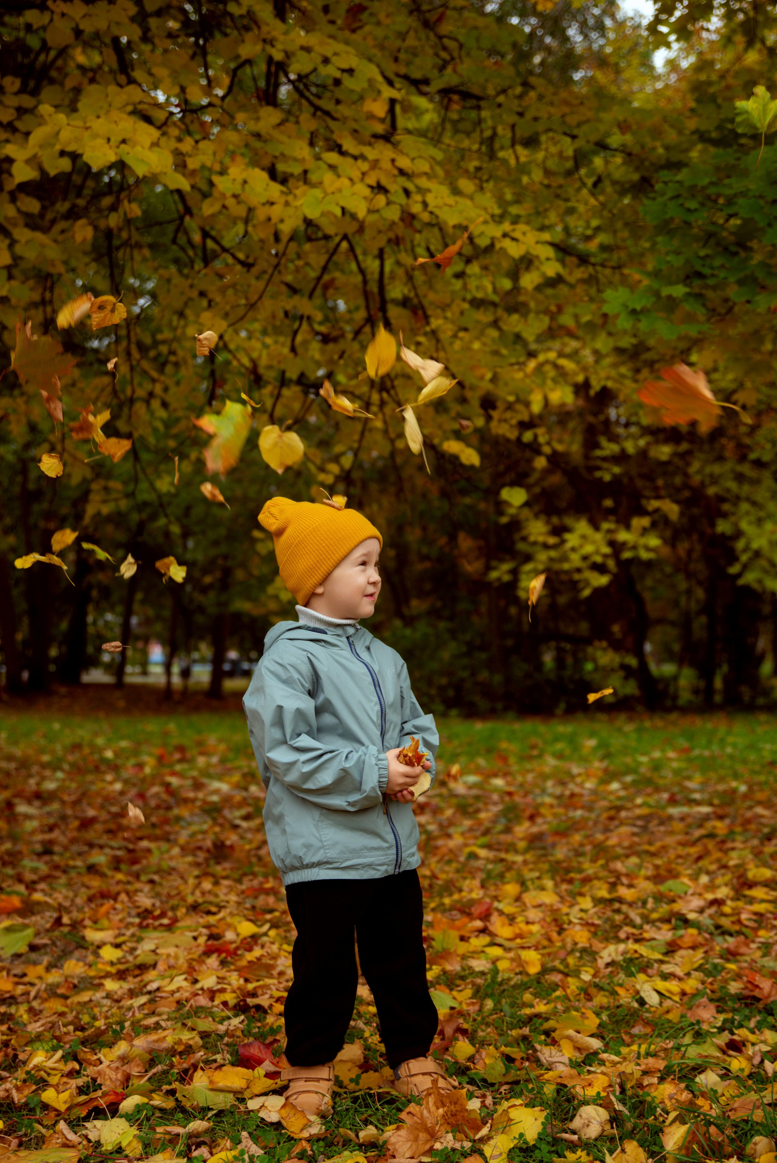 Семейные истории