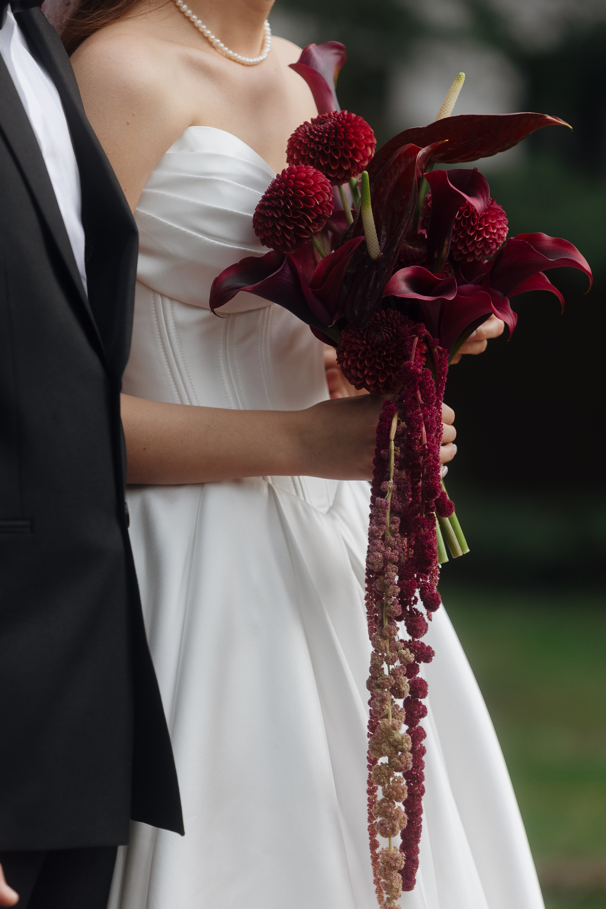 If i was your vampire. Главная