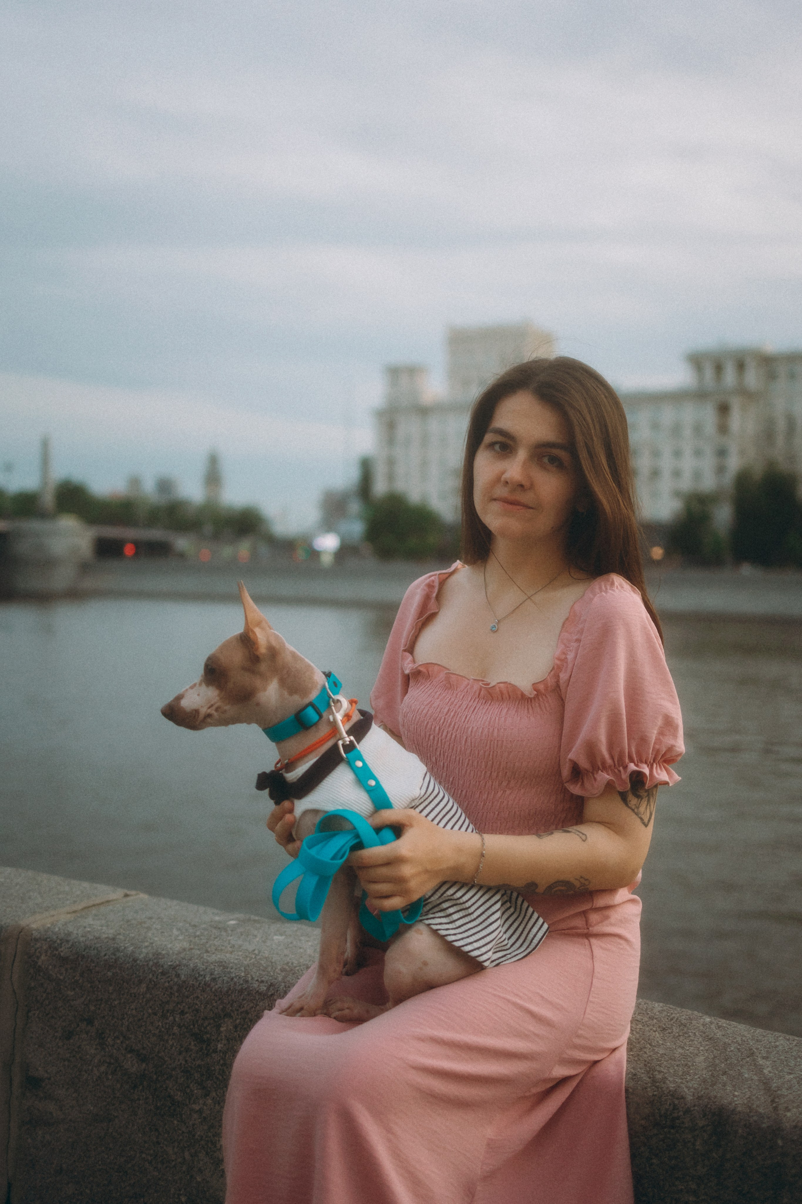 Глаша, Айрон, Ксюша и Оля. Фотограф анималист Анастасия Пикей