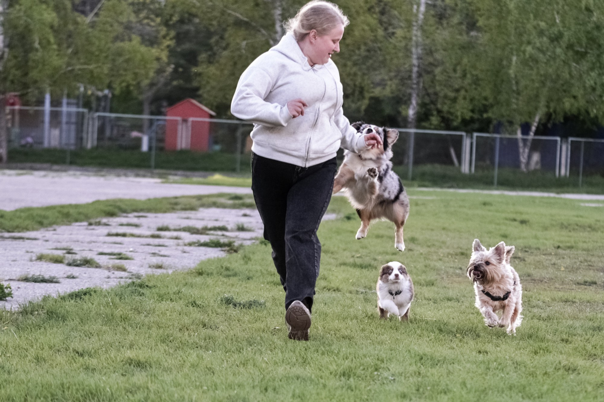 ФОТОСЪЕМКА С СОБАКАМИ. Репортажный и предметный фотограф Ольга Доловова в Ульяновске