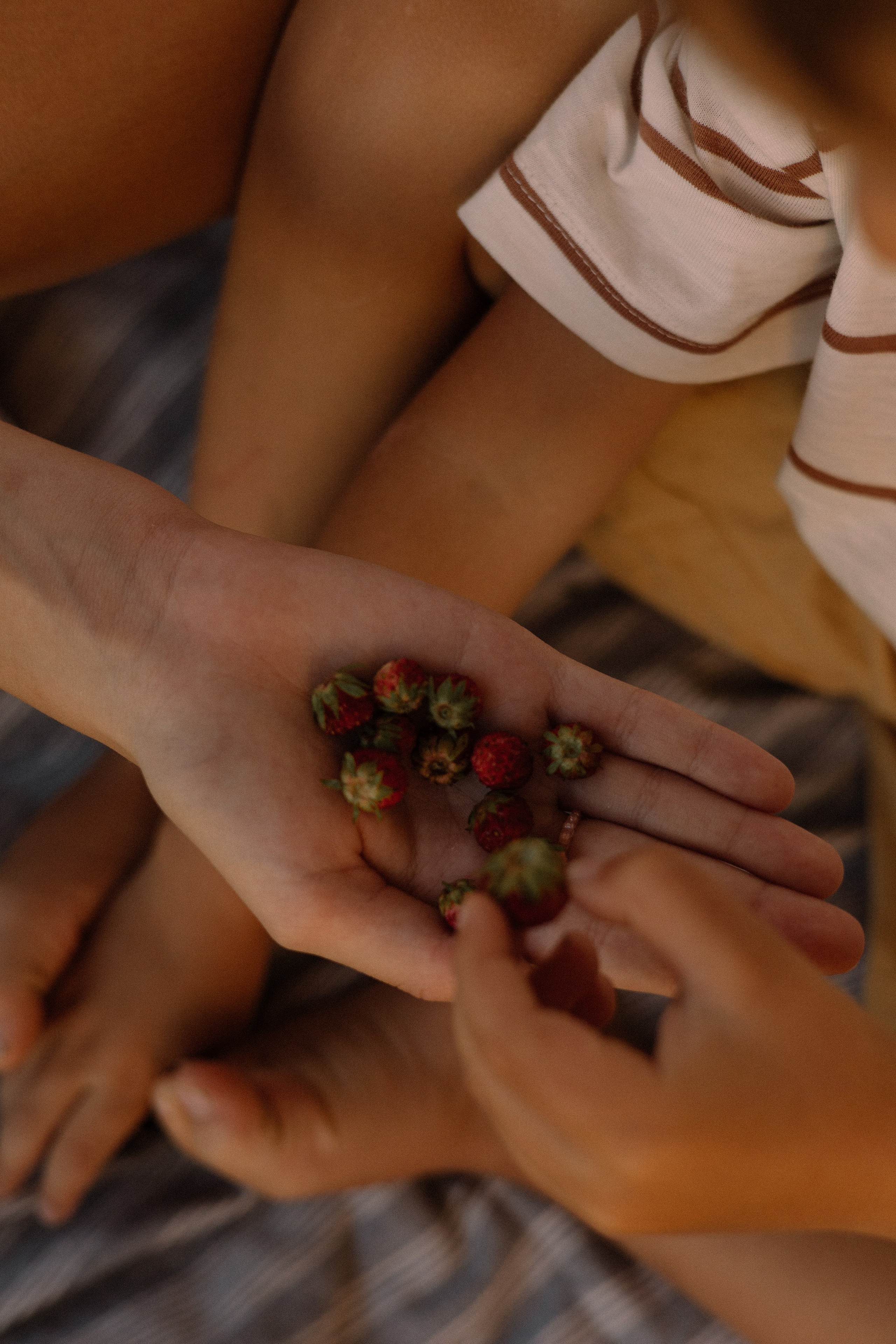 Наргиза, Давид, Диана и Демьян. Семейный фотограф Александра Тарасова