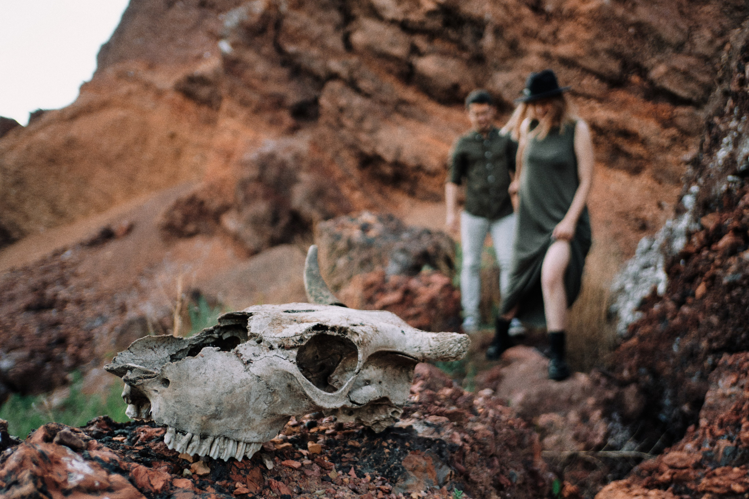 Digital photos. Vladimir Borele Photographer