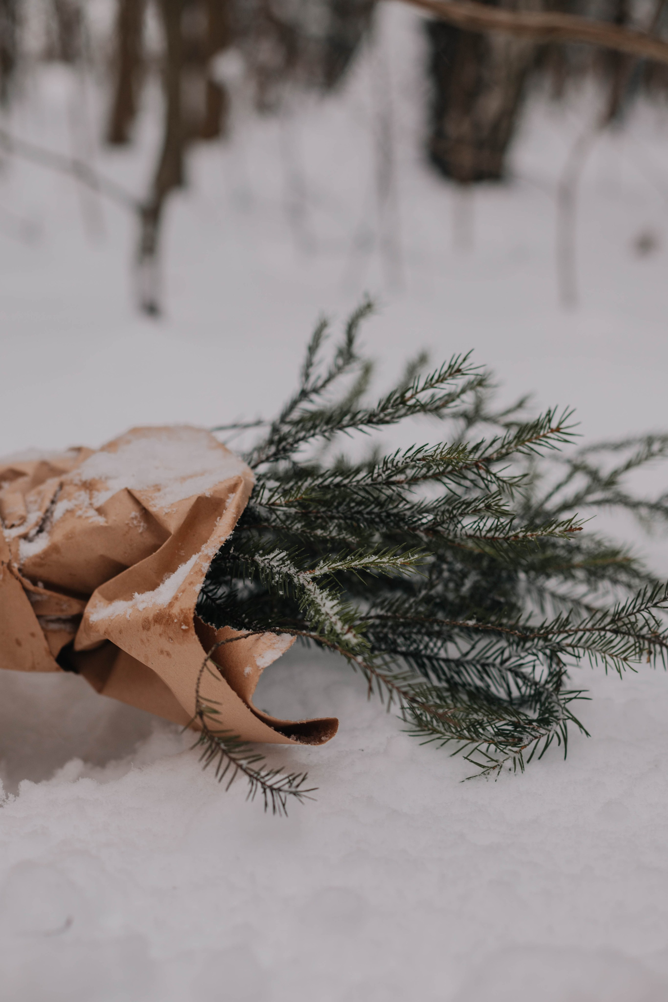 Лиля и семья Зимняя прогулка в лесу. Семейный и свадебный фотограф Видное Москва Екатерина Пятова