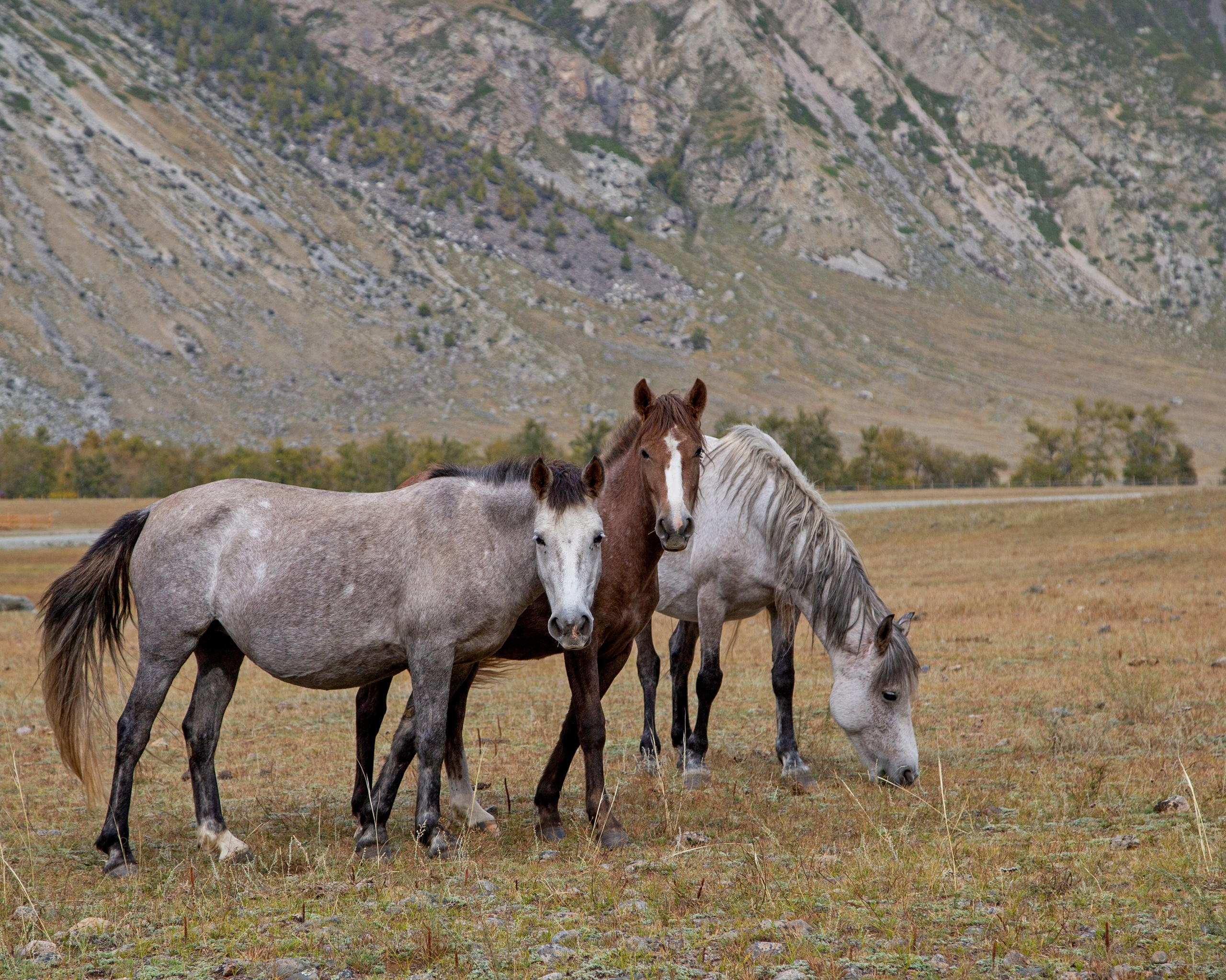 Природа. Макс По — фото и видео съемки любого формата