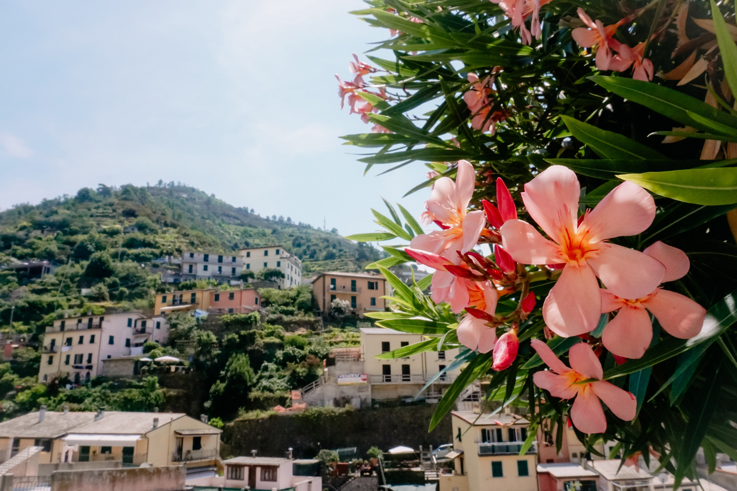 Тоскана. италия. Iraogo