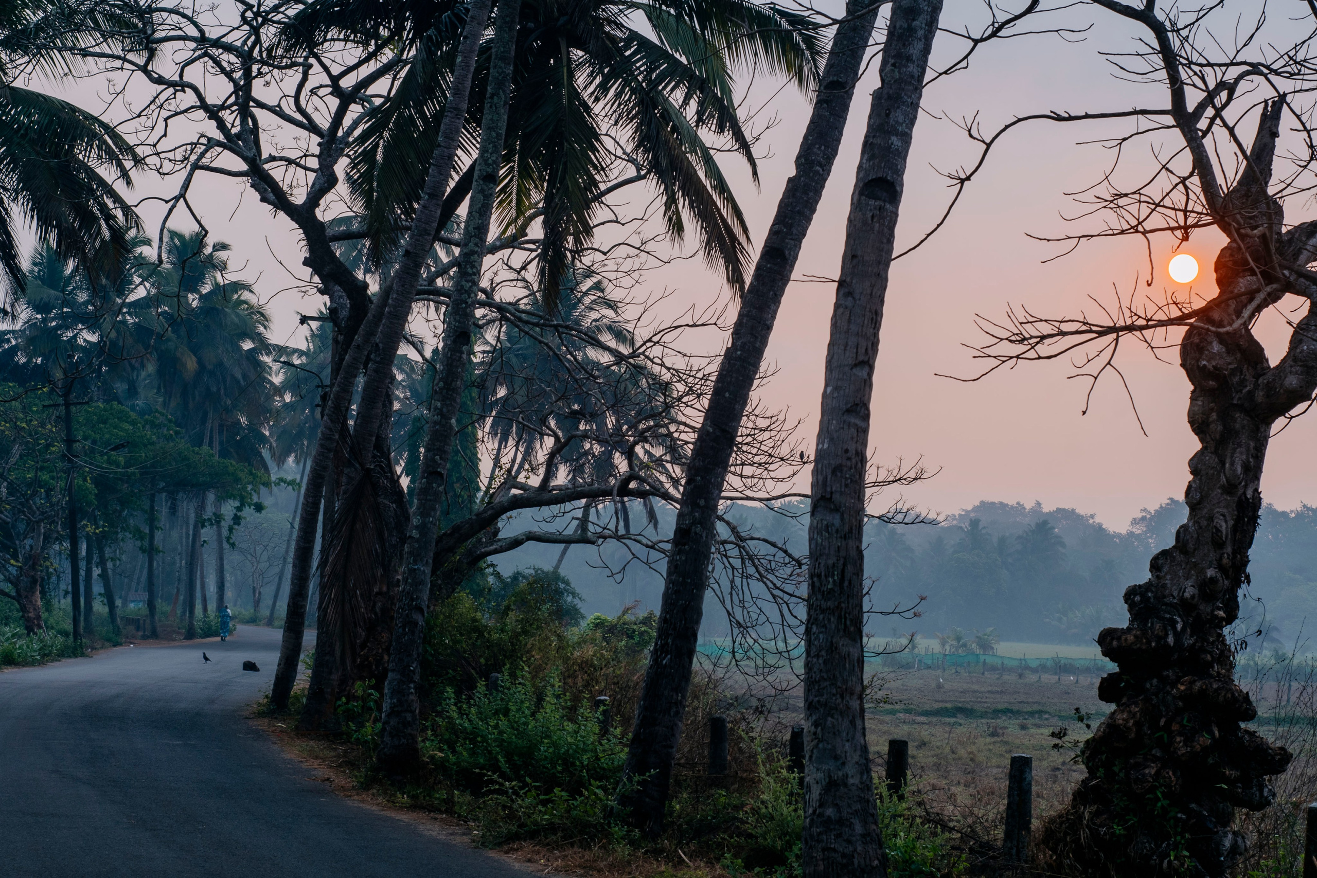 Гоа. индия. Iraogo