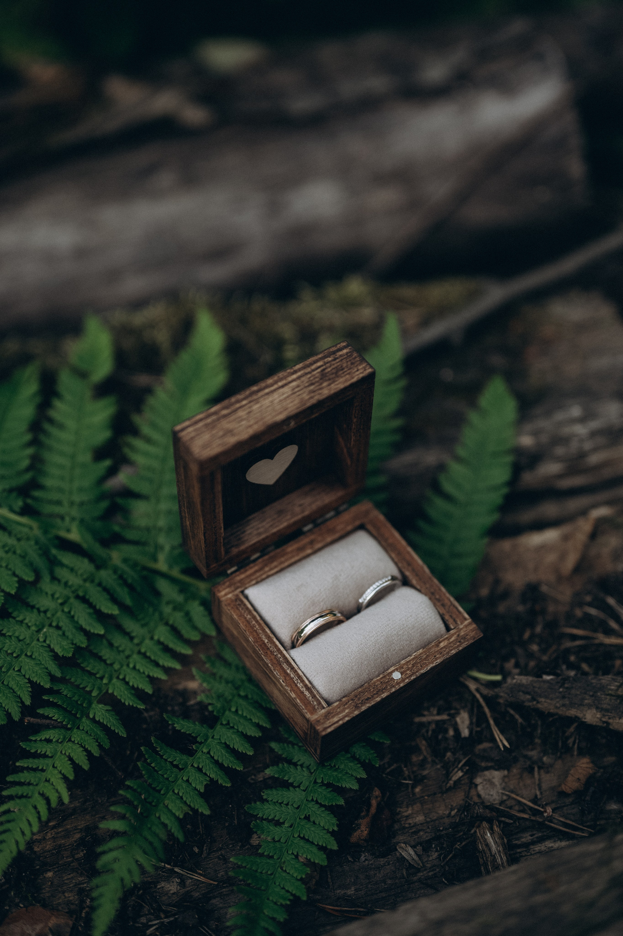 Свадьба в лесу. Семейный свадебный фотограф Екатеринбург Первоуральск Шарнина Алёна