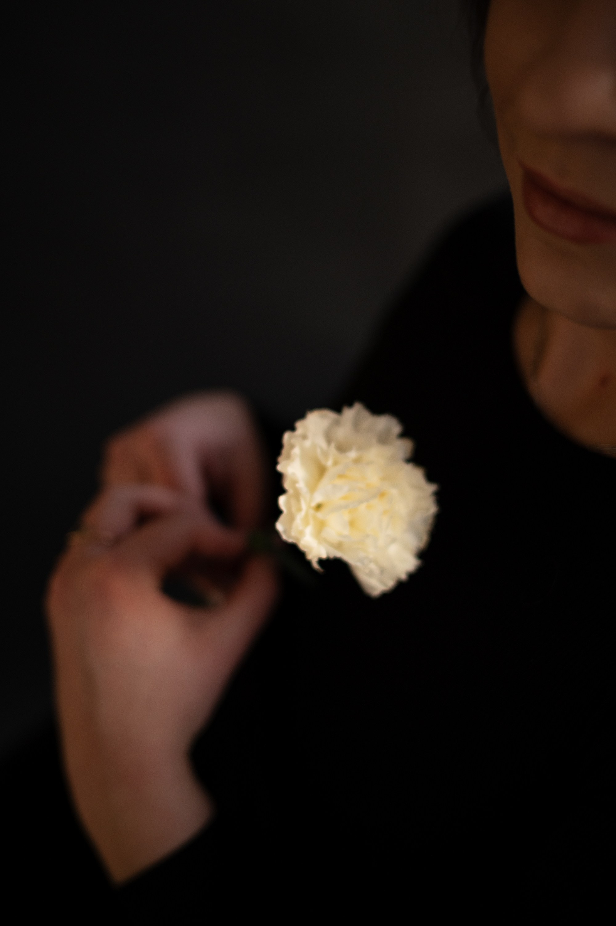 Лиза. Главная