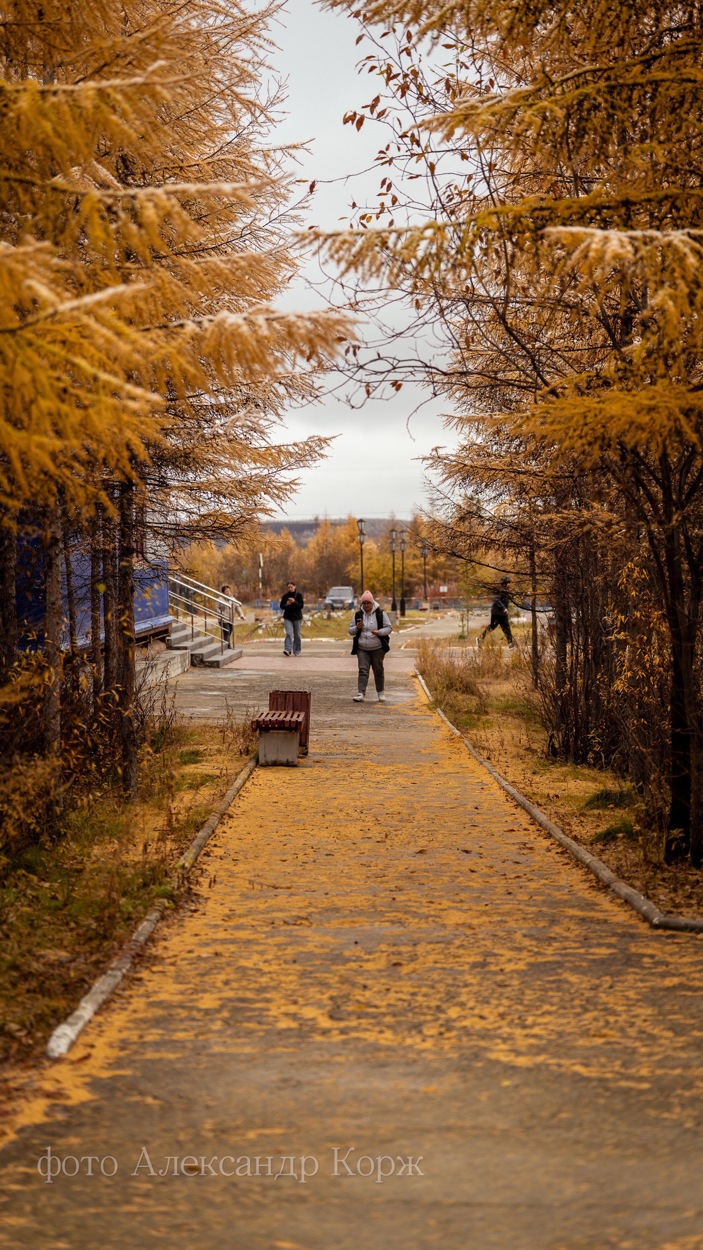 Золотая осень 2025. Айхал. Удачный. Мирный Якутия. Фотографии и видеосъемка, Айхал, Удачный, Якутия. Фотографии Айхал