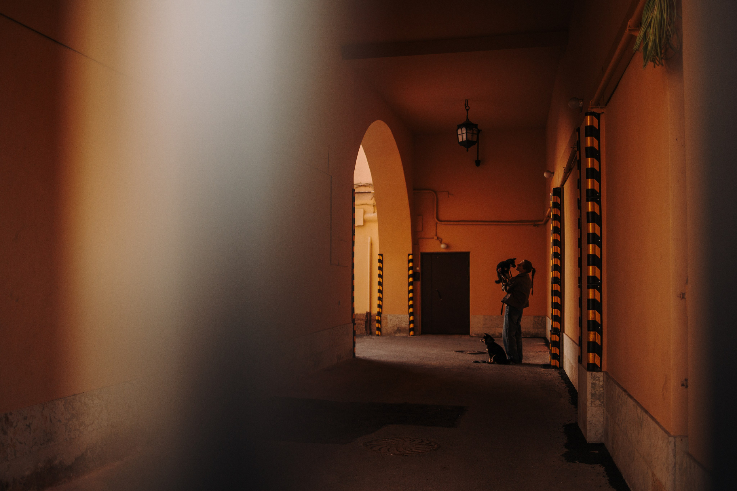 Даша и ее девочки. Фотограф — Анималист | Санкт-Петербург