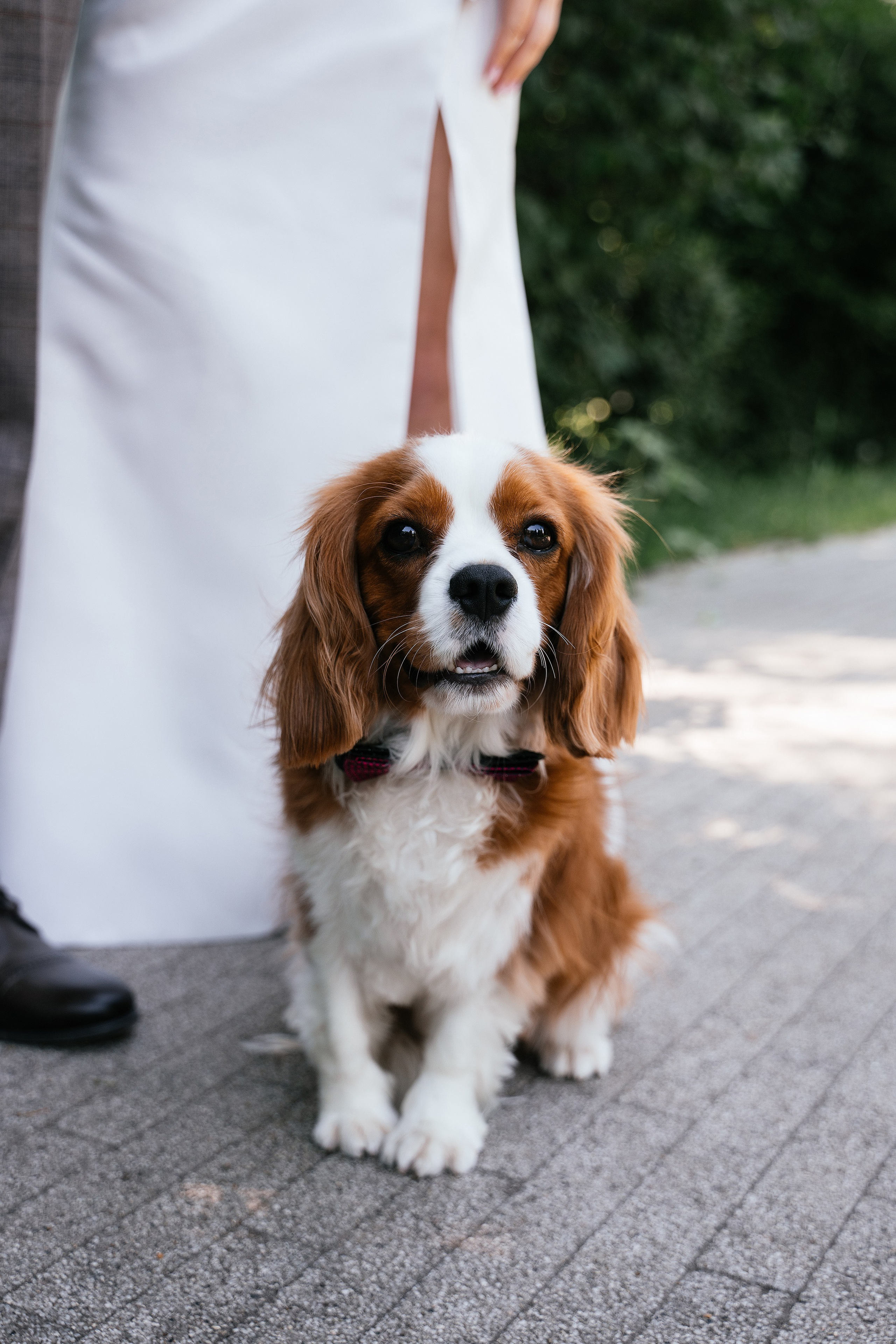 Wedding day #56. Свадебный, семейный фотограф в Рязани Лена Брант