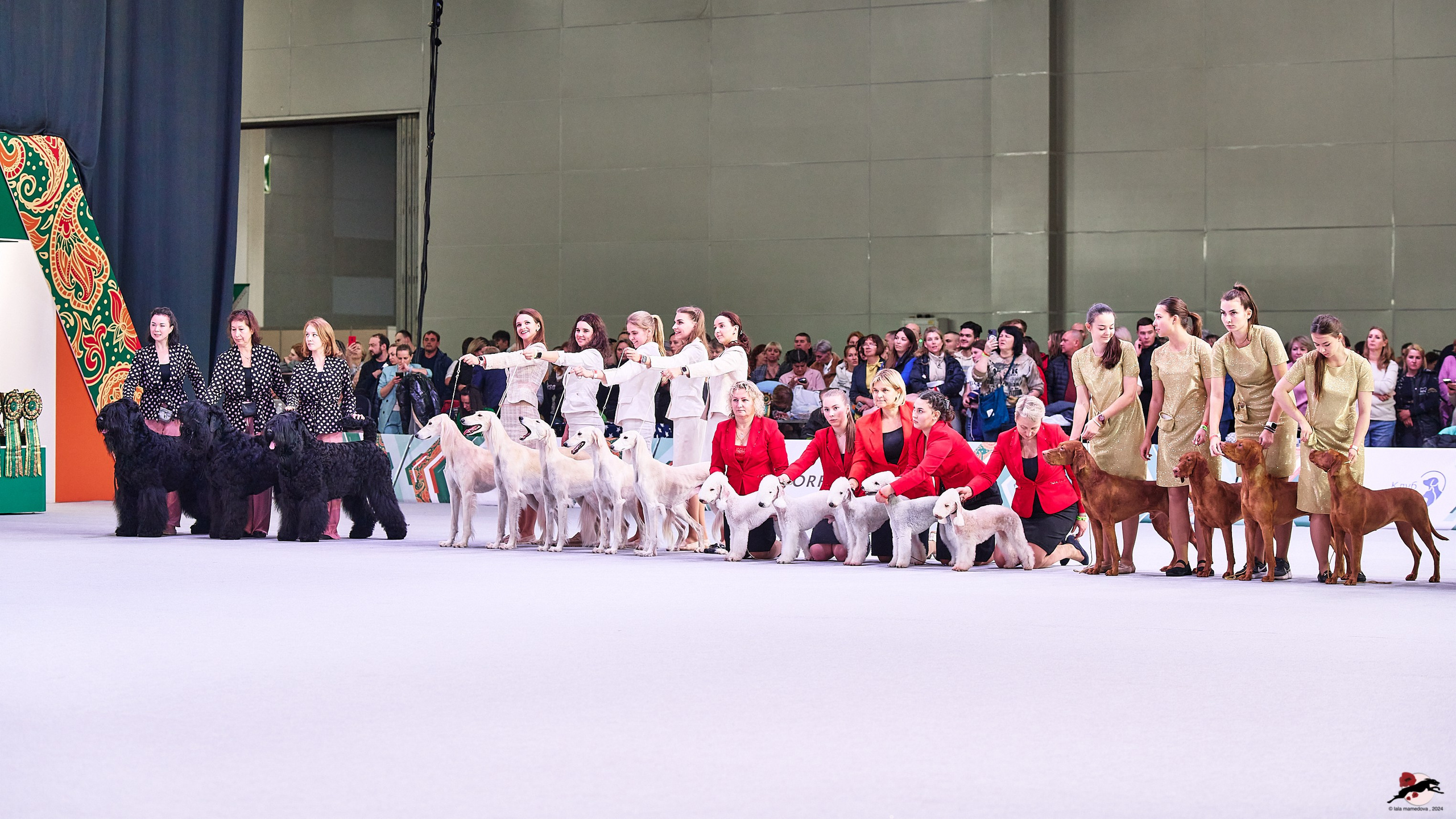 16.11.2024 «ЕВРАЗИЯ. КУБОК ПРЕЗИДЕНТА РКФ 2024»