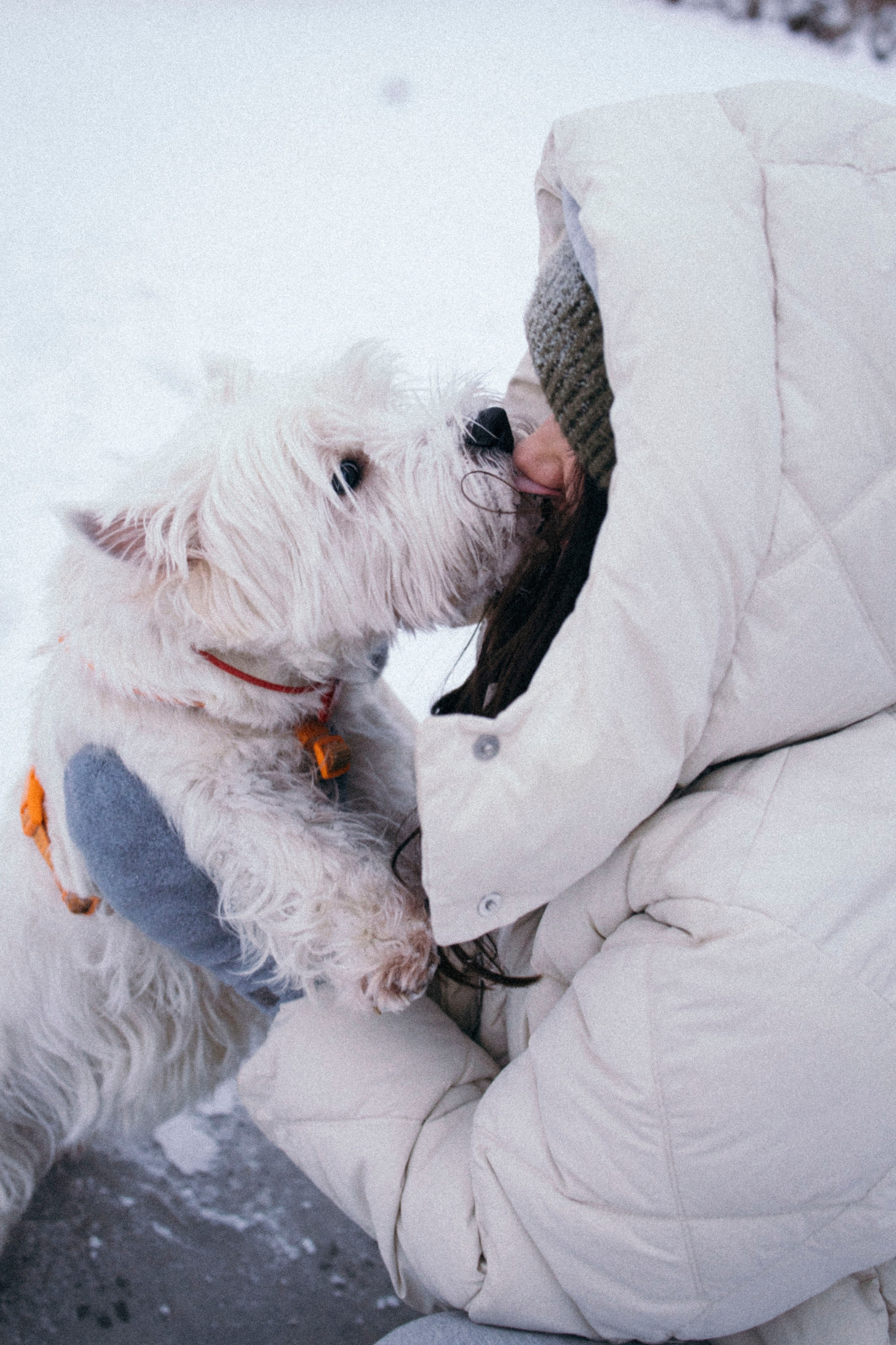 Арина и Обеликс. Фотограф Виктория Куприянова