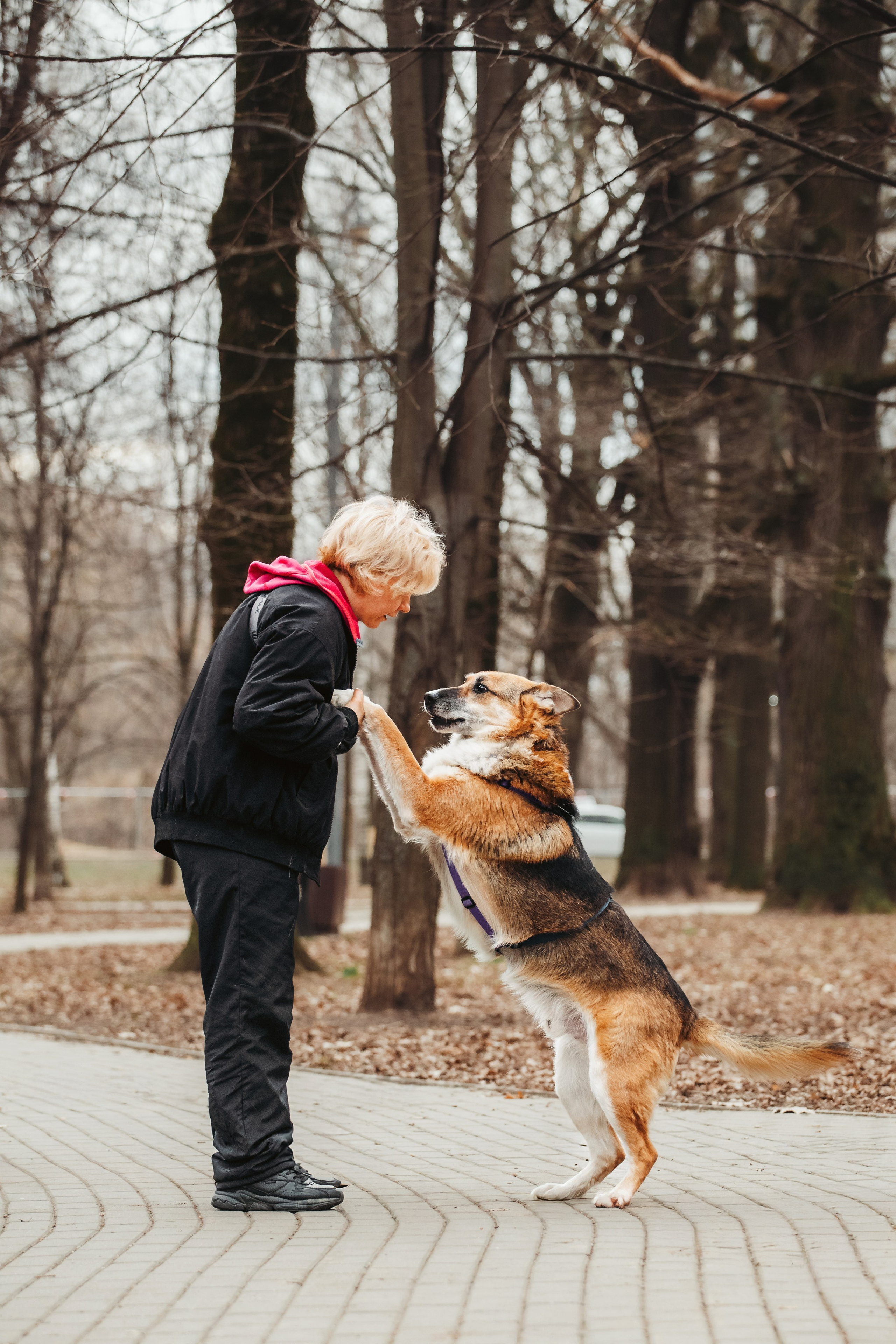 Собаки из приюта Дубовая роща весна 2025. Фотограф-анималист Татьяна Степанова