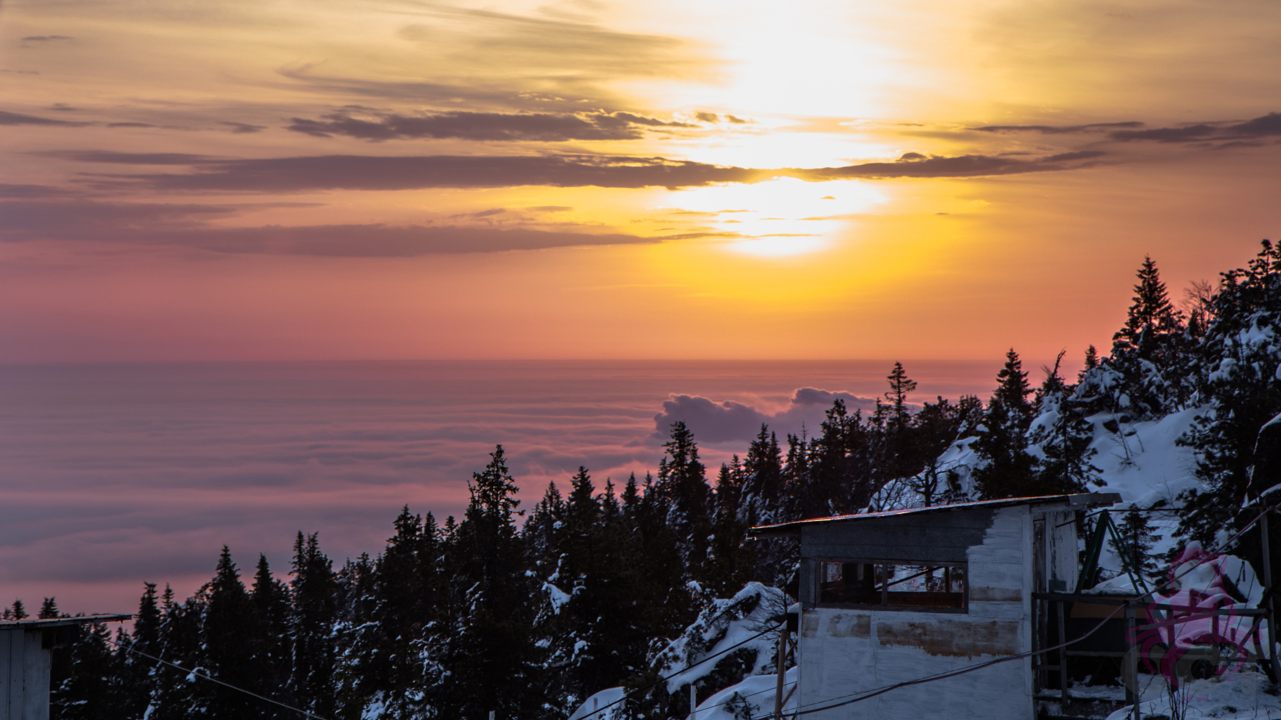 Буддистский монастырь Шад Тчуп Линг. Предметный и репортажный фотограф Алексей Кротов
