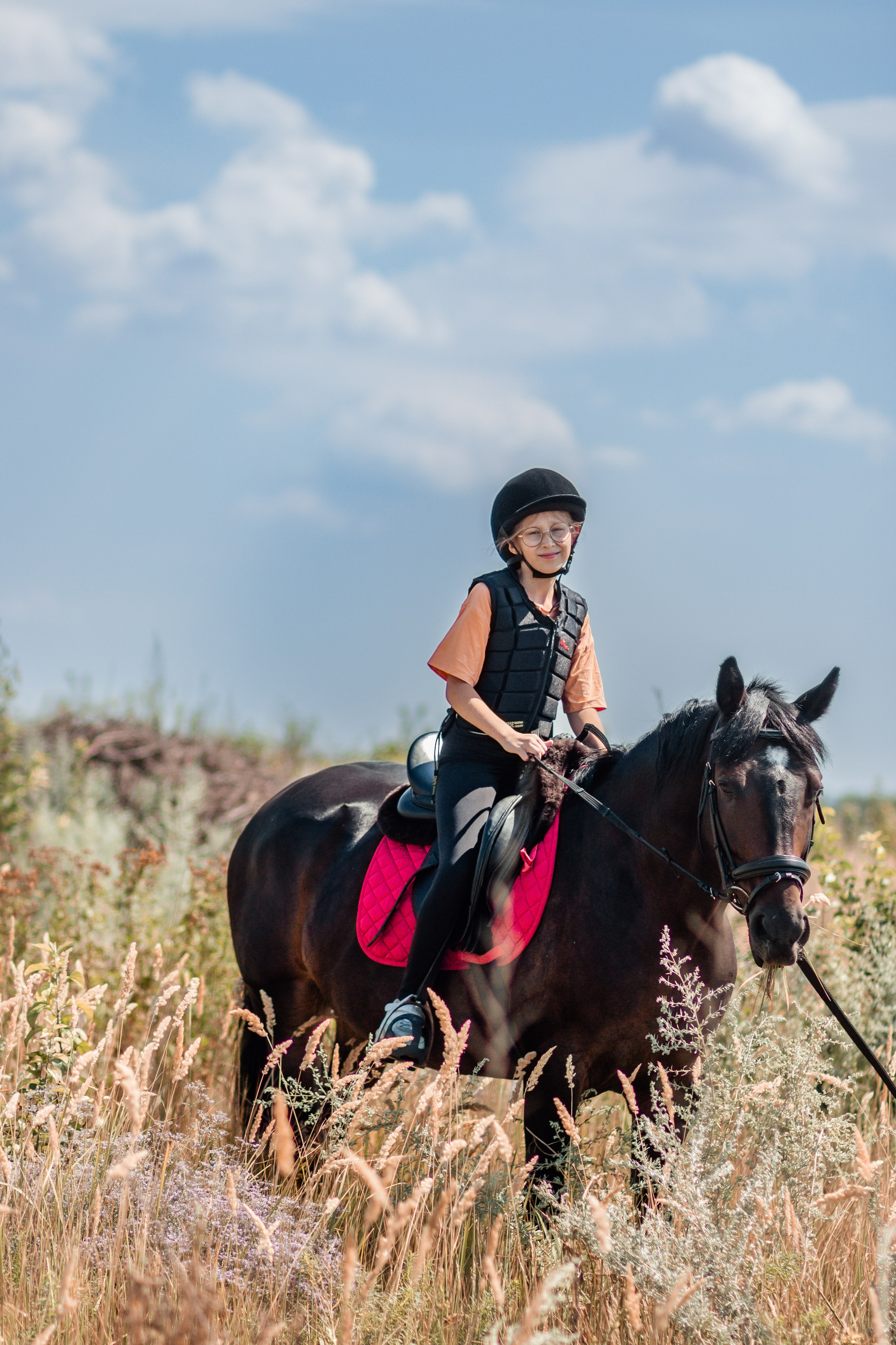 Выезды в поля на лошади