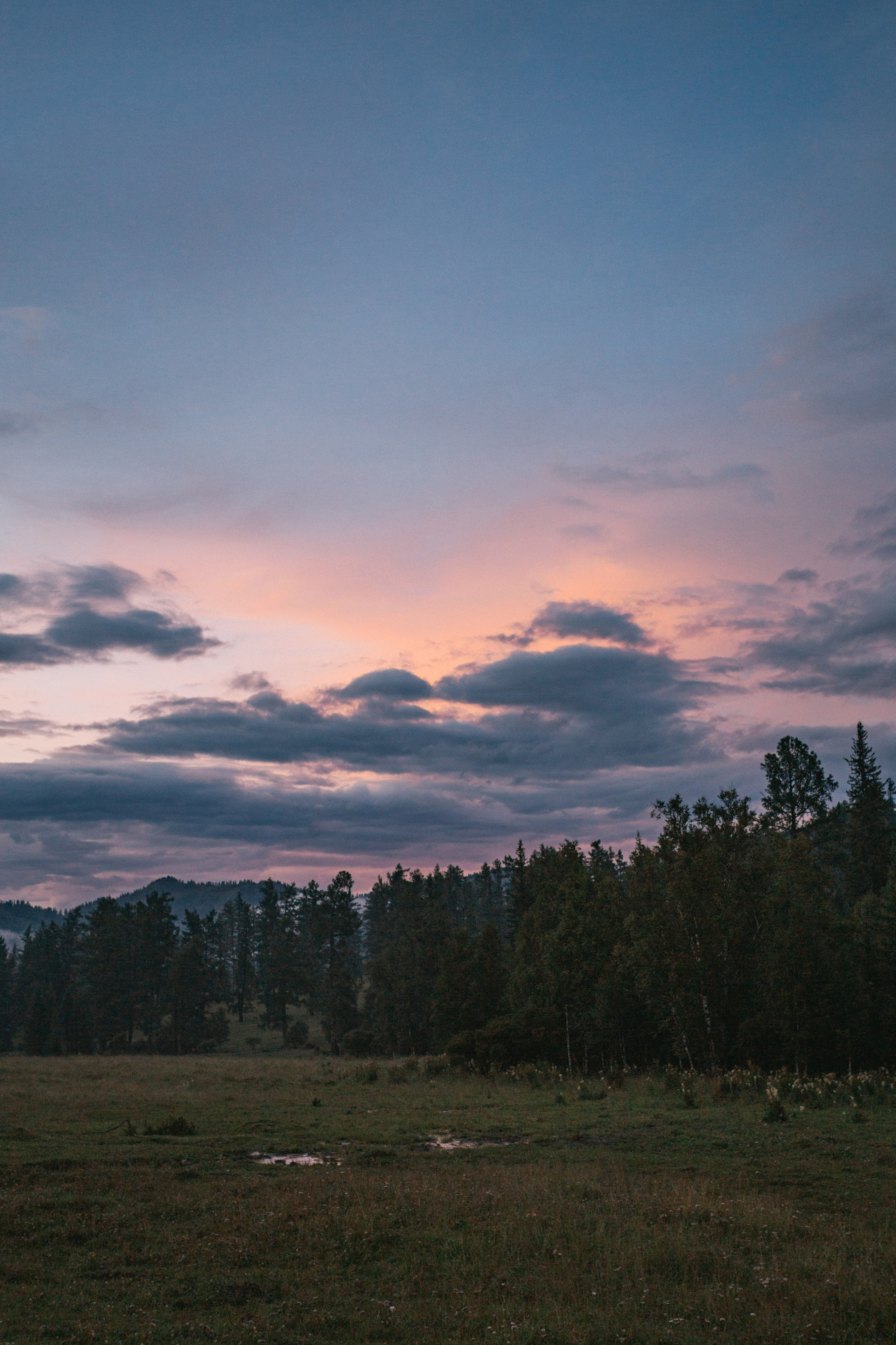 Катунский заповедник, Республика Алтай. Репортажный фотограф в Крыму Ксения Гасица