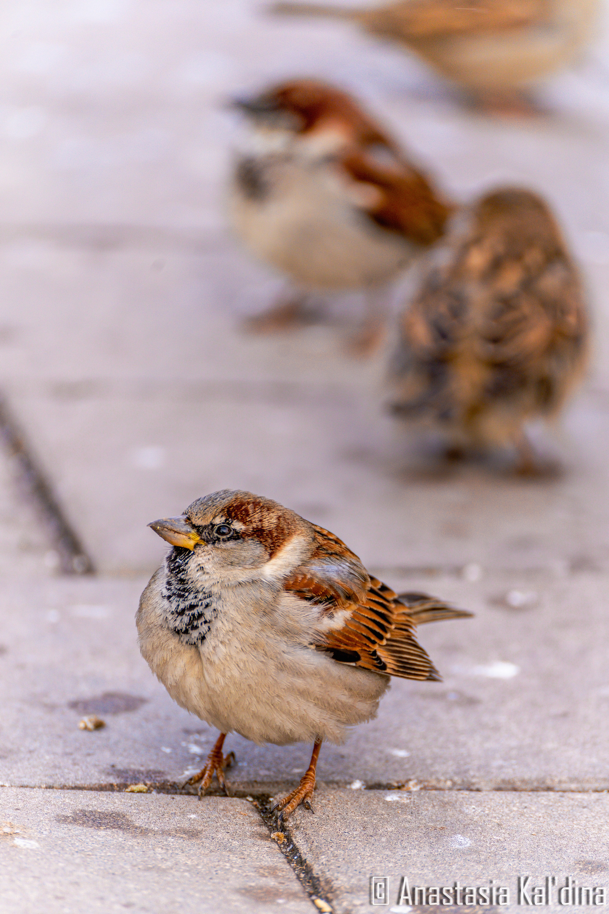 Городской пейзаж/архитектура. Фотограф в Волгограде и Волжском Анастасия Кальдина
