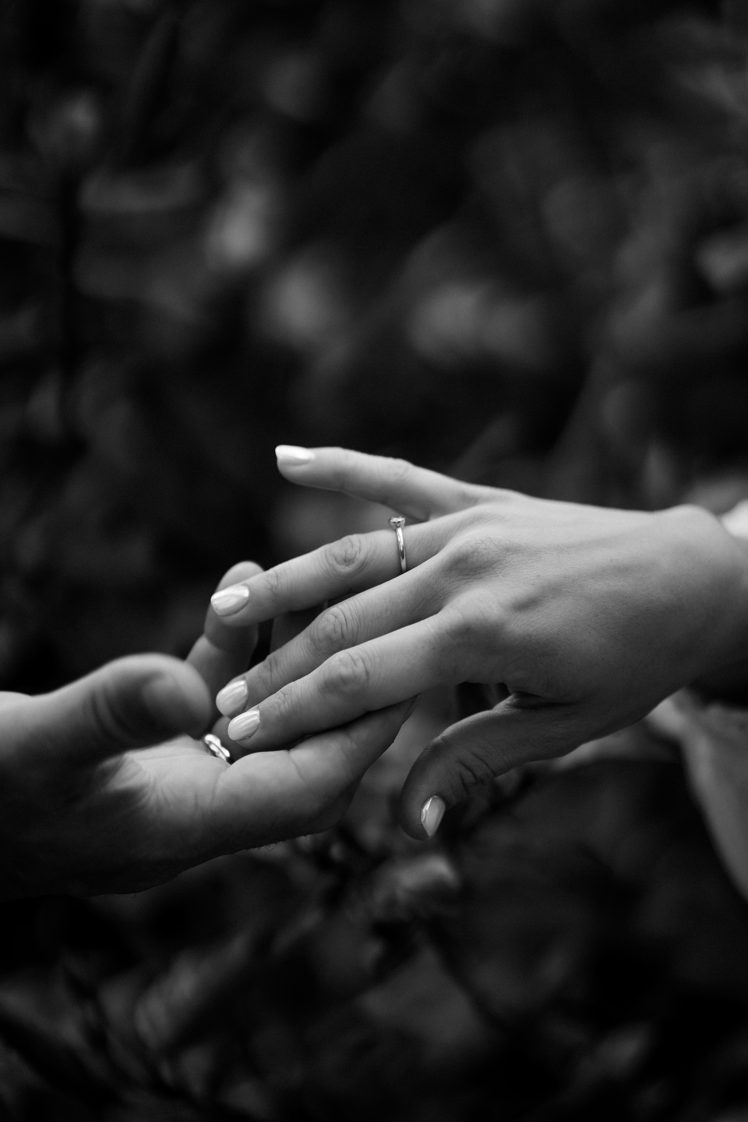 Свадебная фотосессия оранжерее. Анастасия Кузнецова — фотограф в Санкт-Петербурге