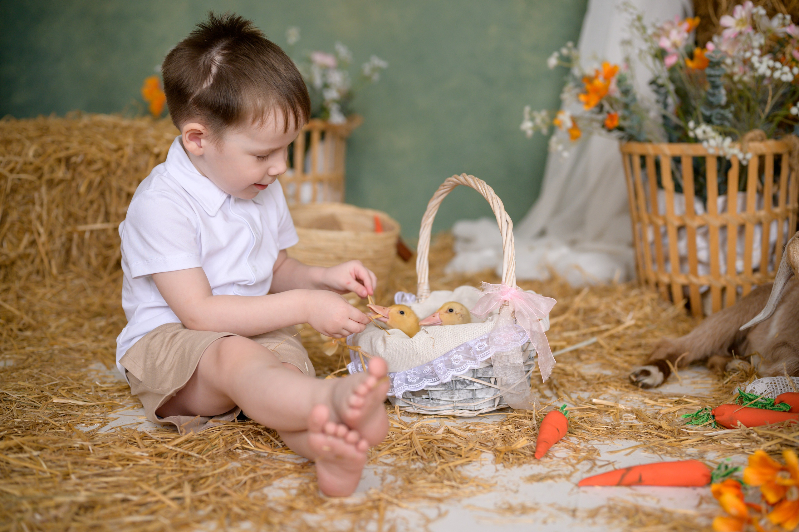 Фотостудия «Рояль» зал «Графика». Фотограф новорожденных, семейный детский в Тюмени Татьяна Морозова