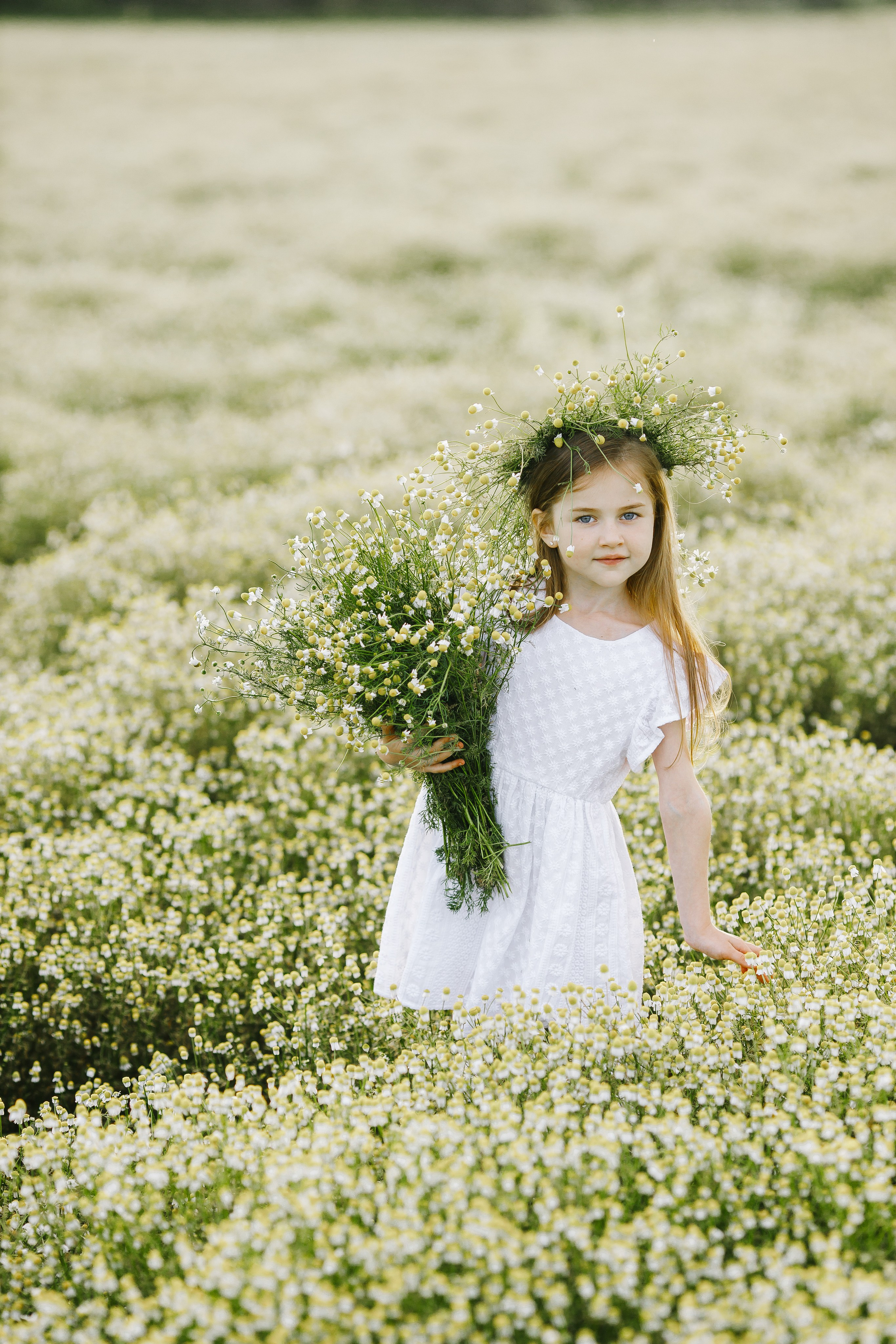 Фотосессии детские и женские в полях. Семейный и детский фотограф в Пскове и Санкт-Петербурге Яна Калинина