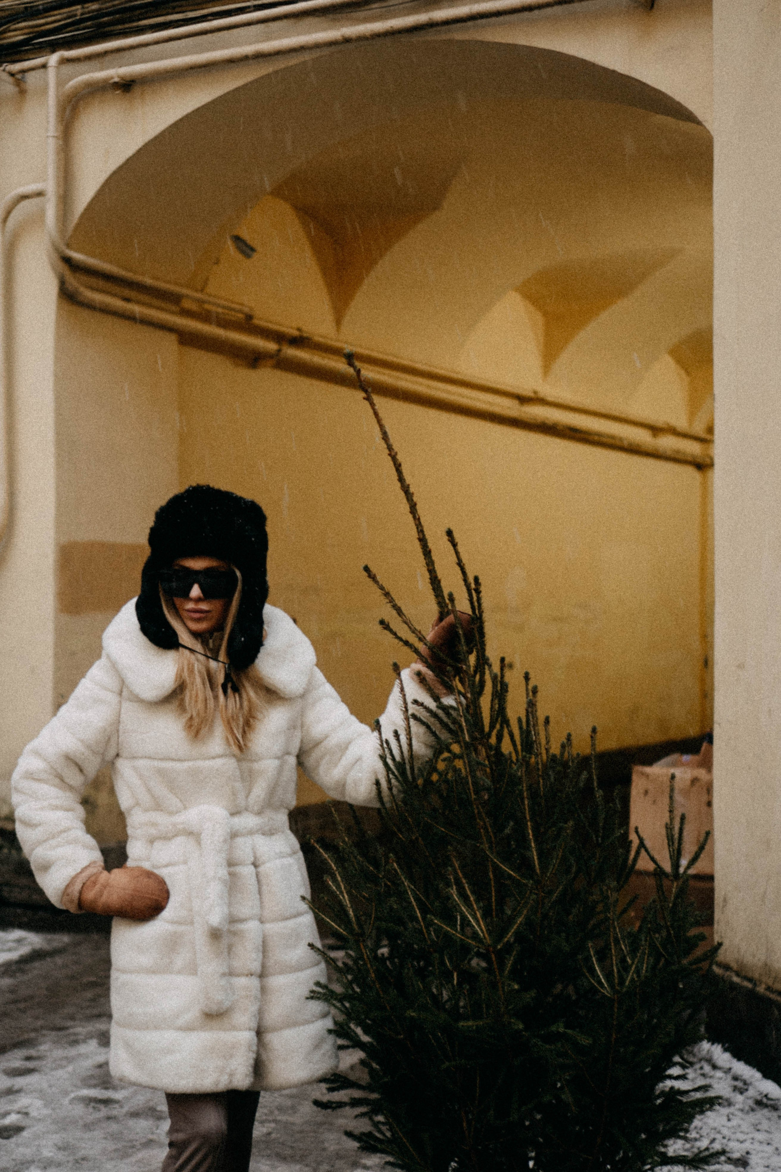 Новогодняя. Профессиональный фотограф, Санкт-Петербург — Виктория Богомолова