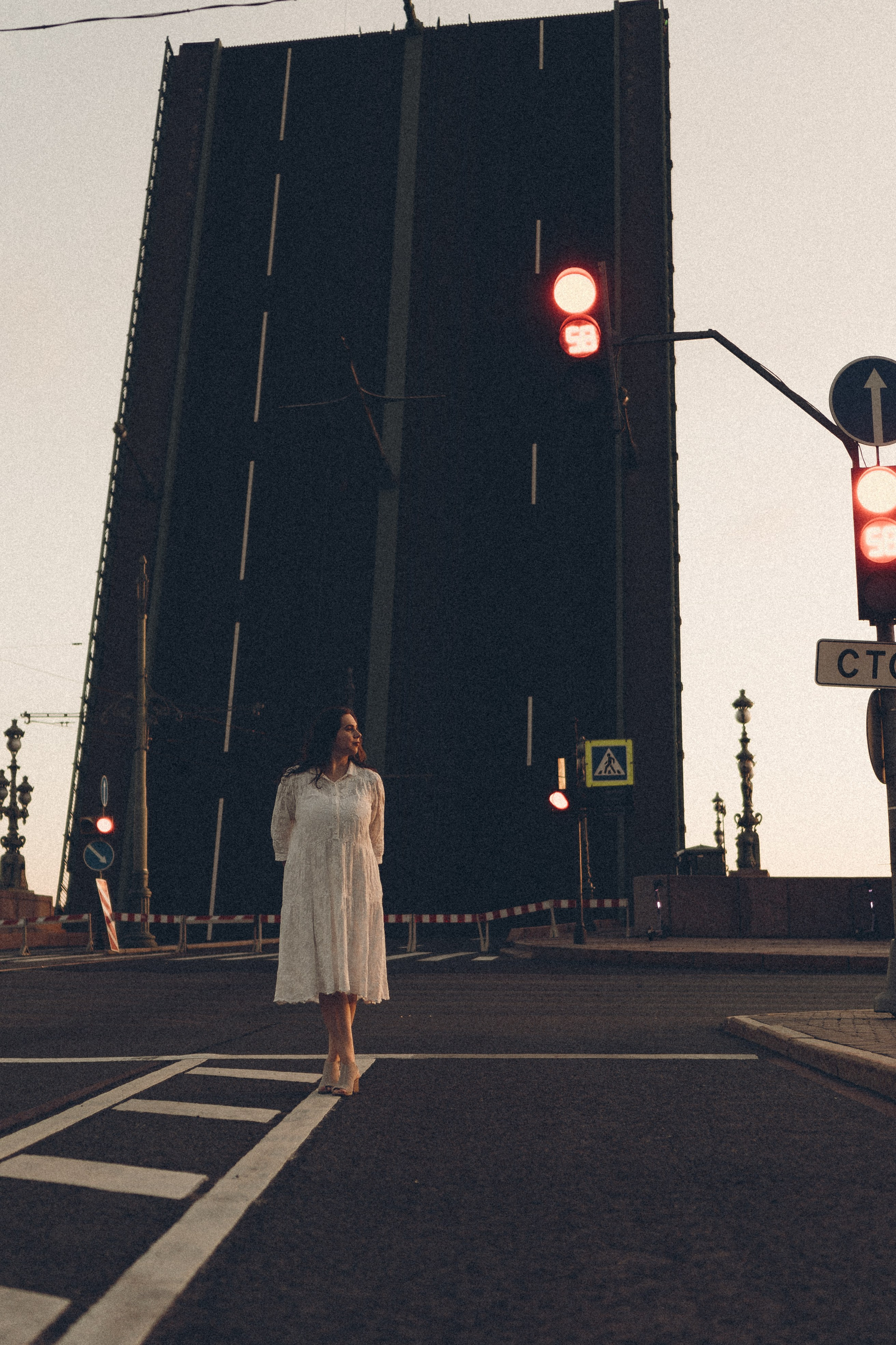 РАССВЕТ С РАЗВОДНЫМИ МОСТАМИ. Профессиональный фотограф, Санкт-Петербург — Виктория Богомолова