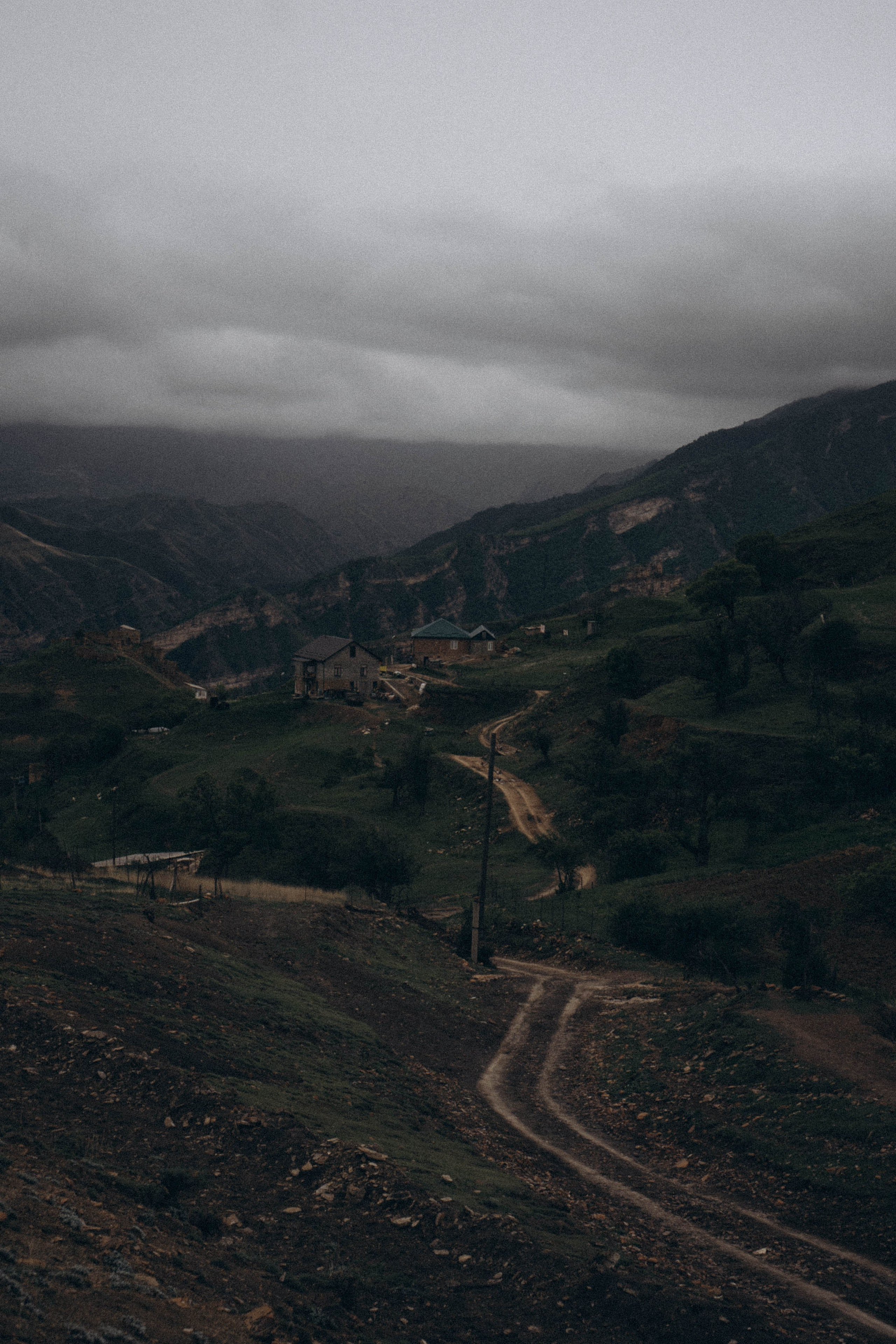 Кавказ. Профессиональный фотограф, Санкт-Петербург — Виктория Богомолова