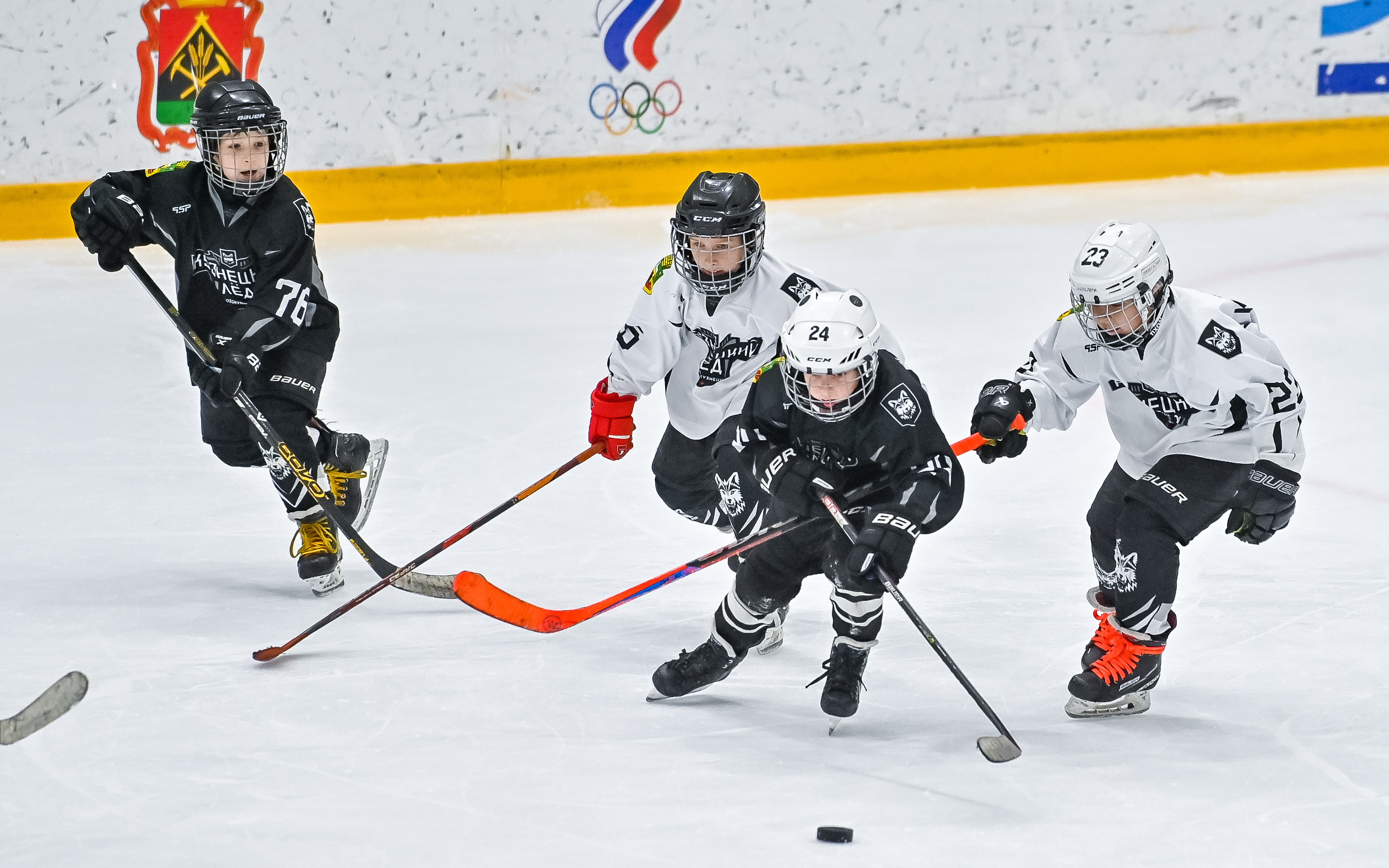 «Кузнецкий лёд» 2015/16. Репортажный профессиональный фотограф-любитель