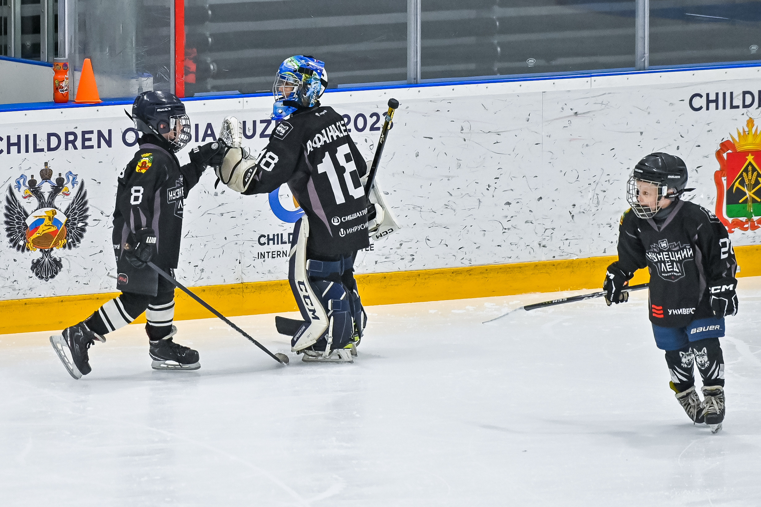 «Кузнецкий лёд» 2015/16. Репортажный профессиональный фотограф-любитель