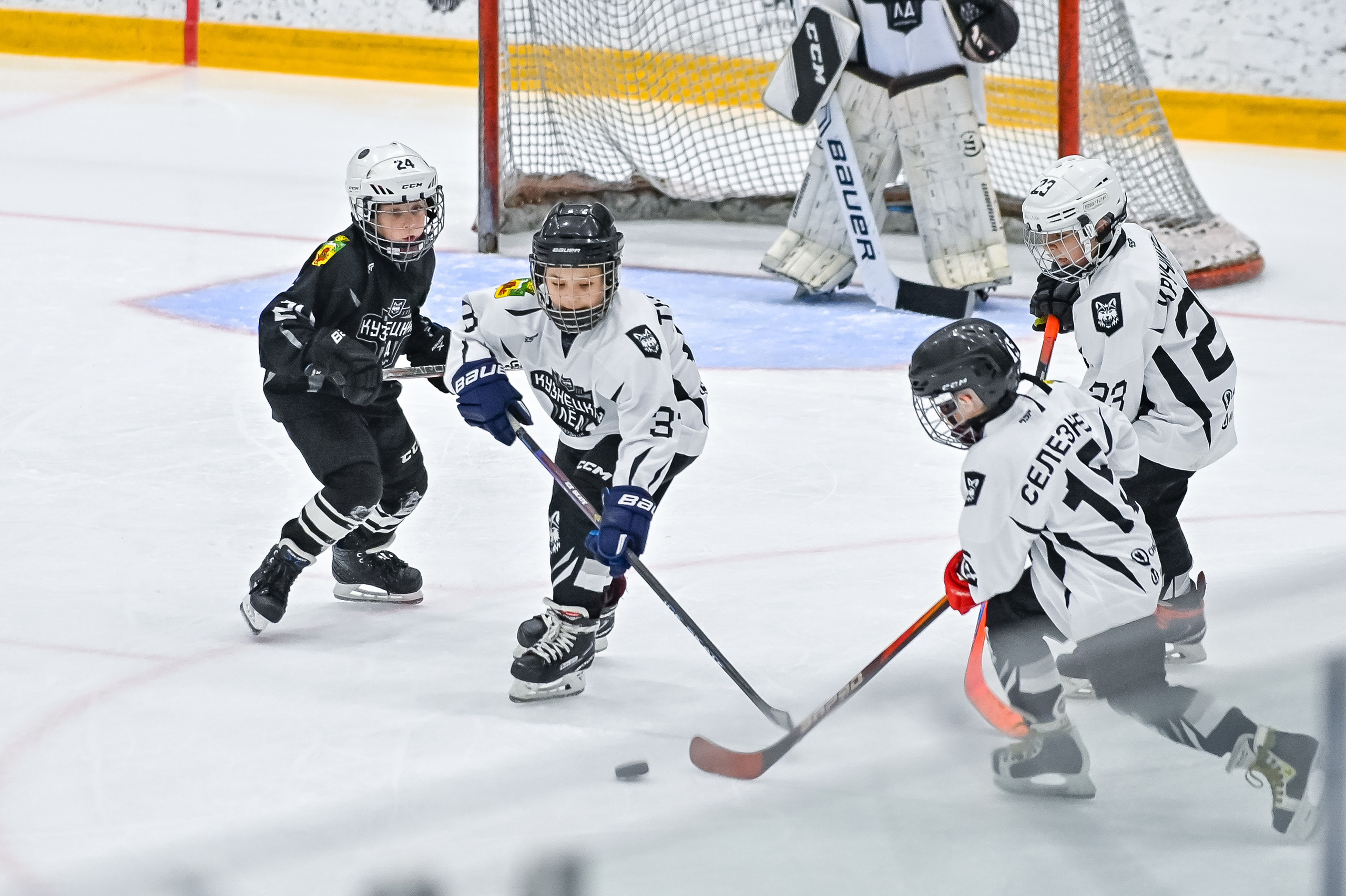 «Кузнецкий лёд» 2015/16. Репортажный профессиональный фотограф-любитель