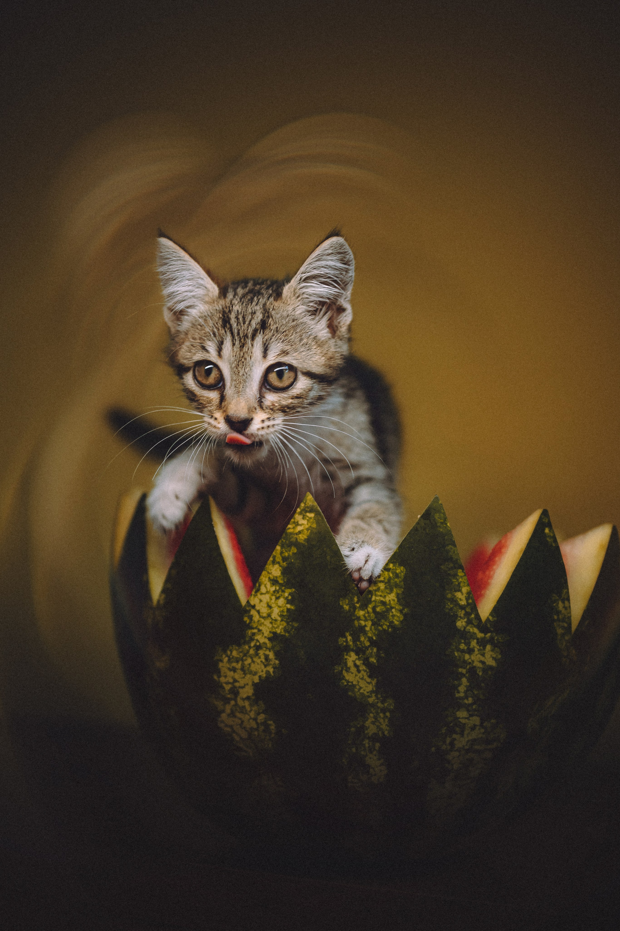 Сирена и арбуз