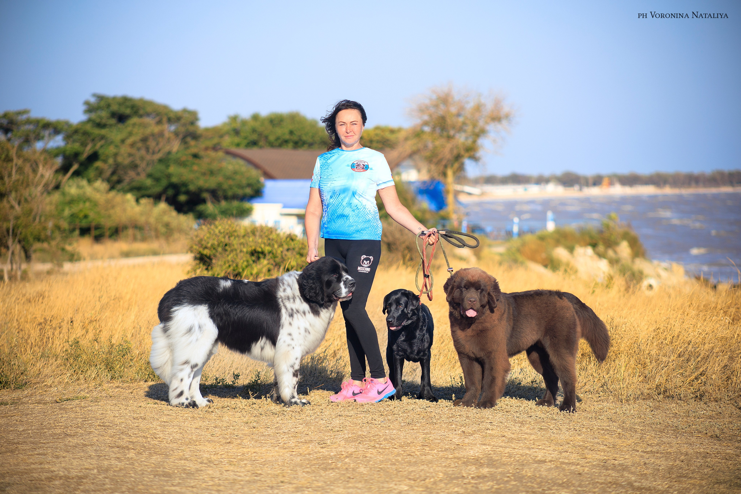 Анимализм Анжелика Сентябрь. Воронина Наталия — индивидуальный и свадебный фотограф в Рязани