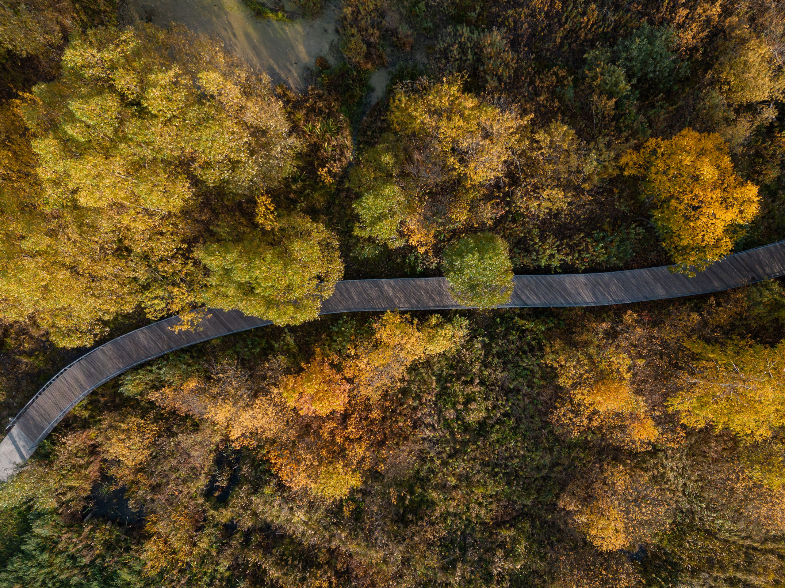 Общественные пространства. Наталья Летунова — интерьерный фотограф в Иванове