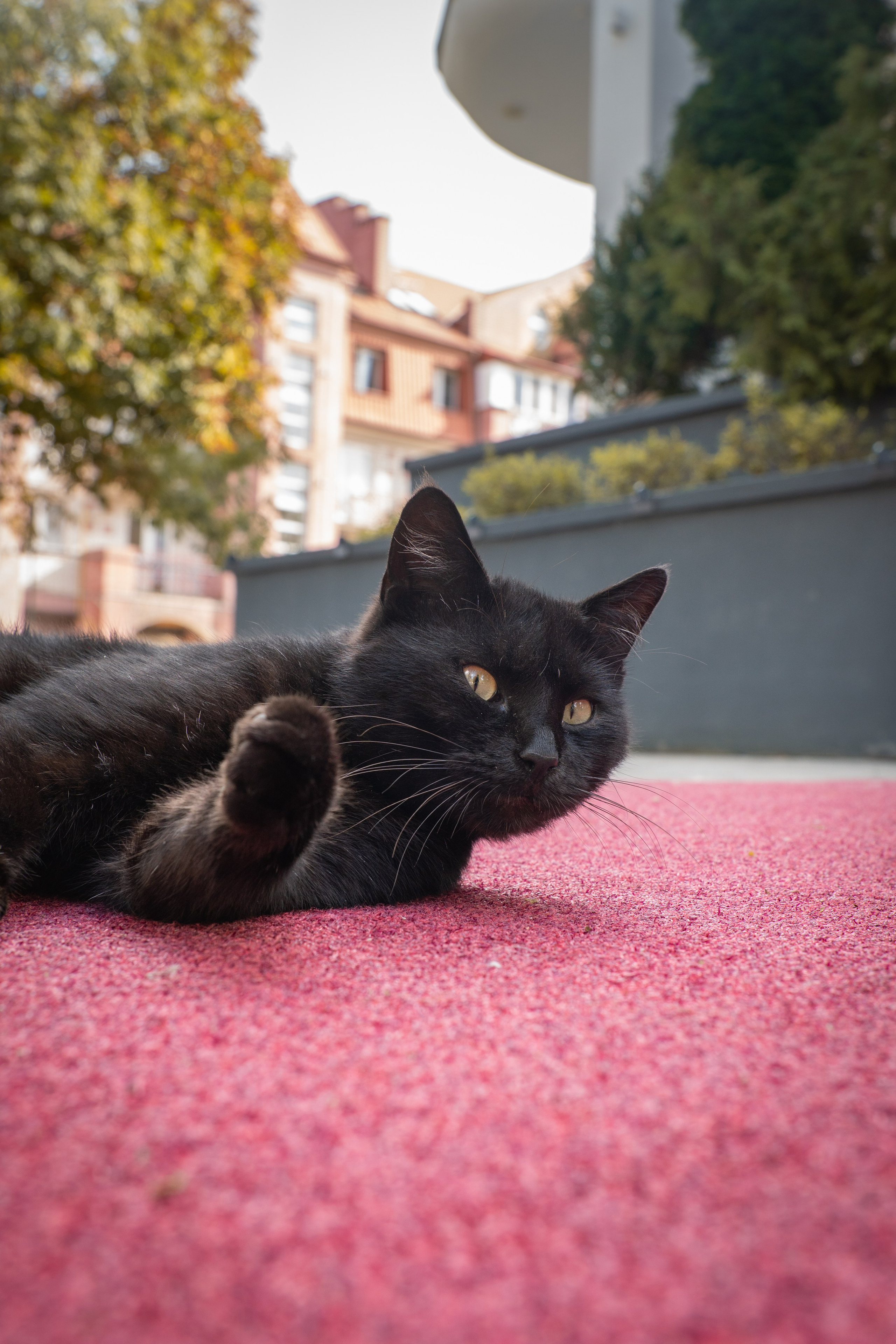 Калининградская область. Gusarov Travel Photography