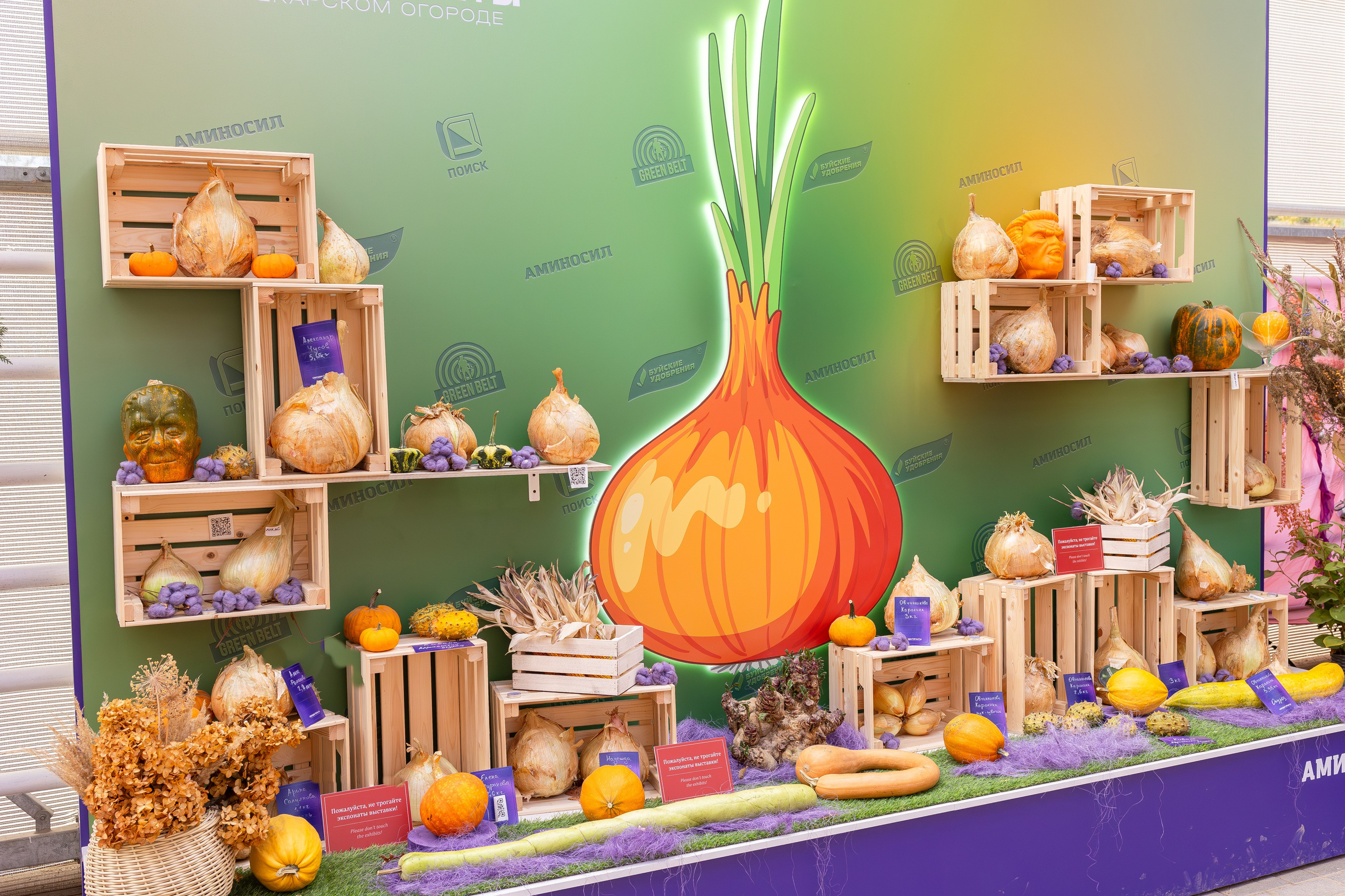 Овощи-гиганты. Александра Куликова фотограф, Москва