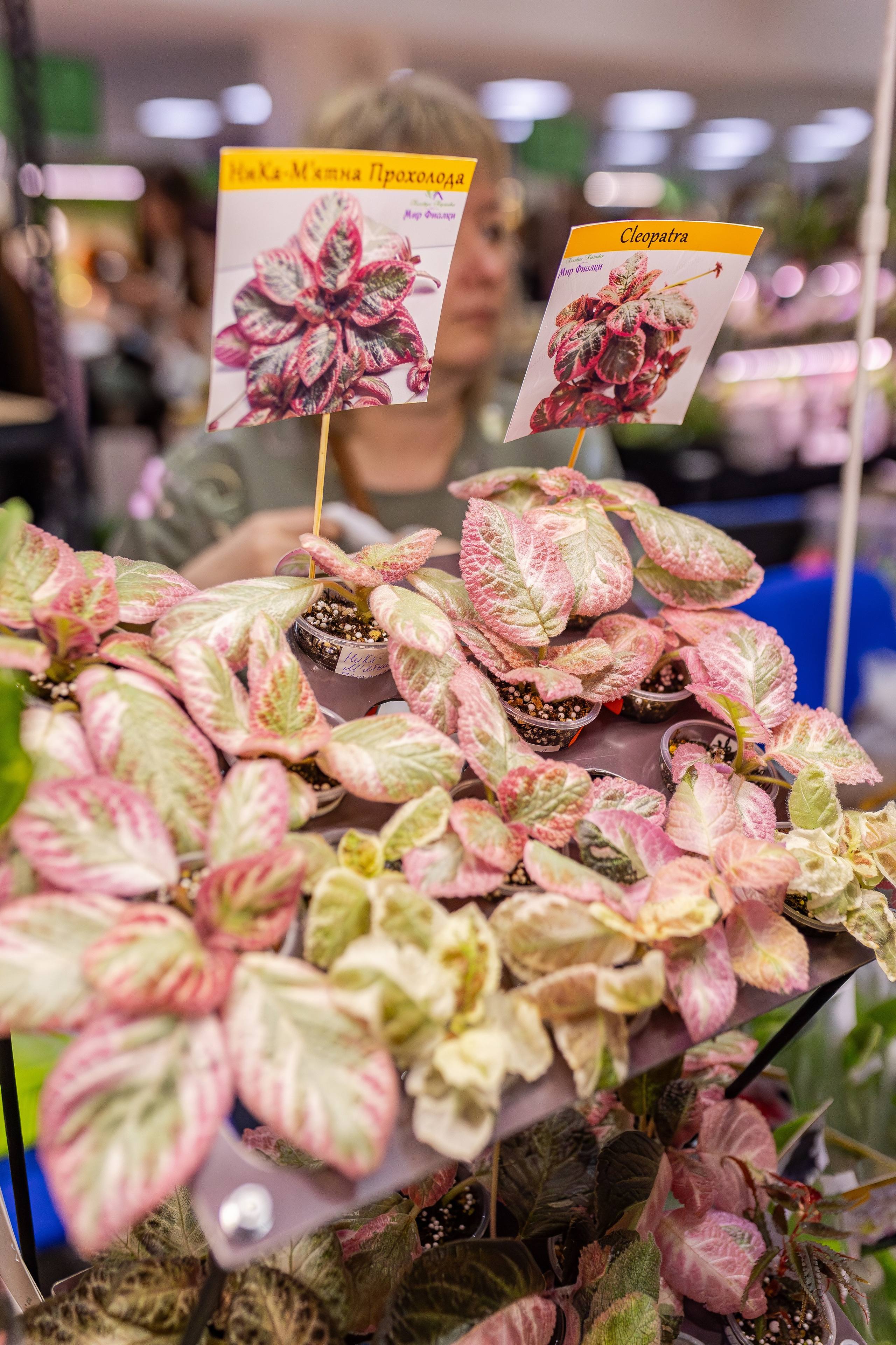 Монстериум апрель 2026. Александра Куликова фотограф, Москва