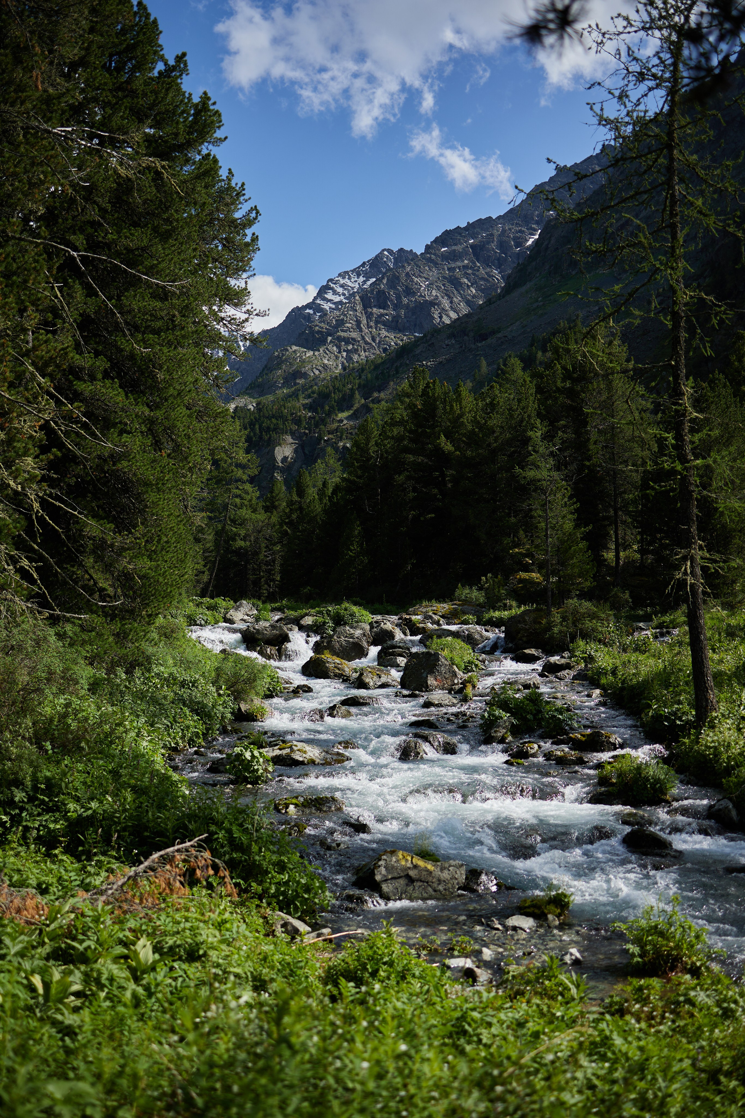 Алтай. Хороший репортажный и промышленный фотограф в Казани Алексей Щелконогов