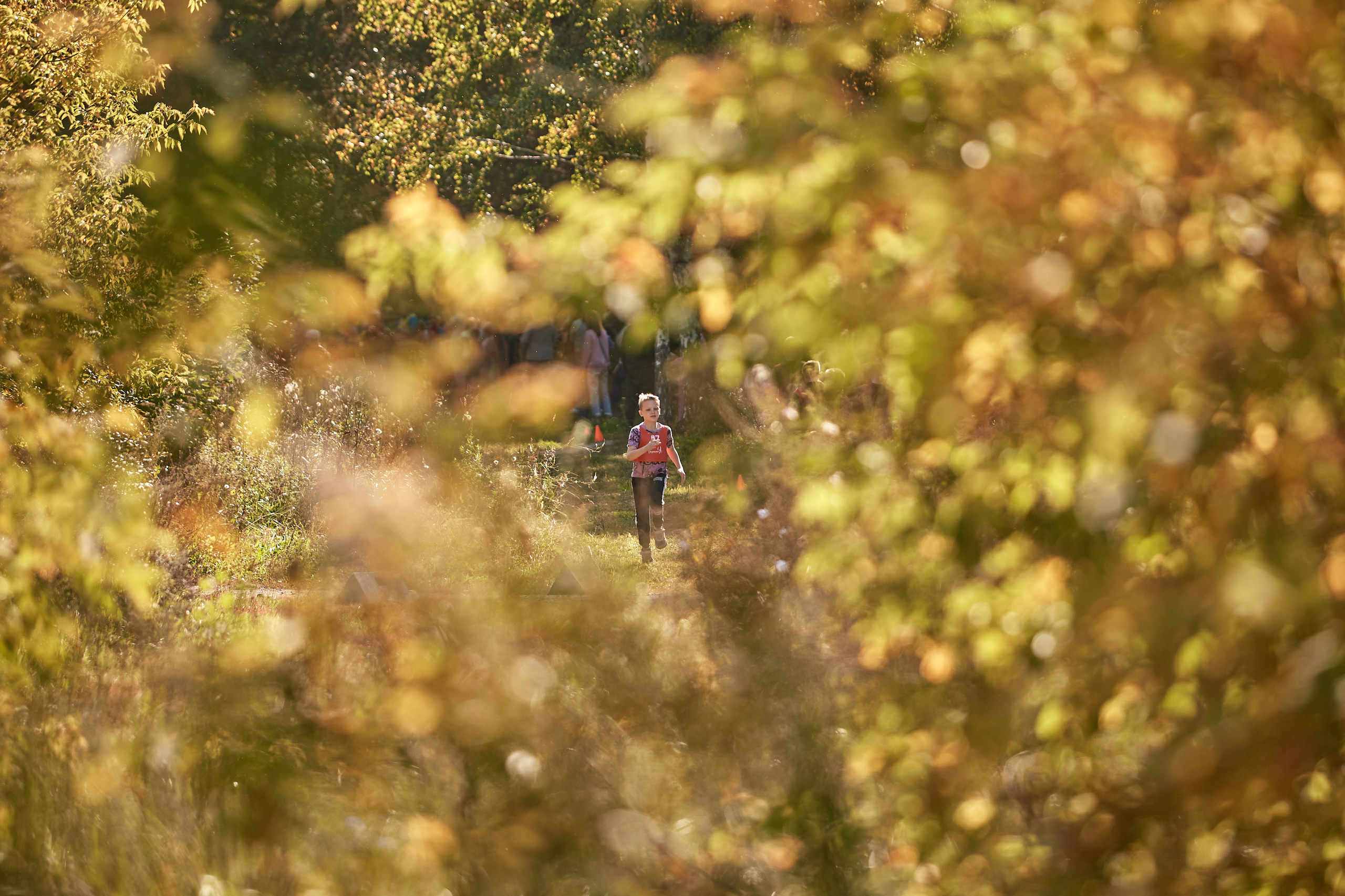 Спорт. AFL Media