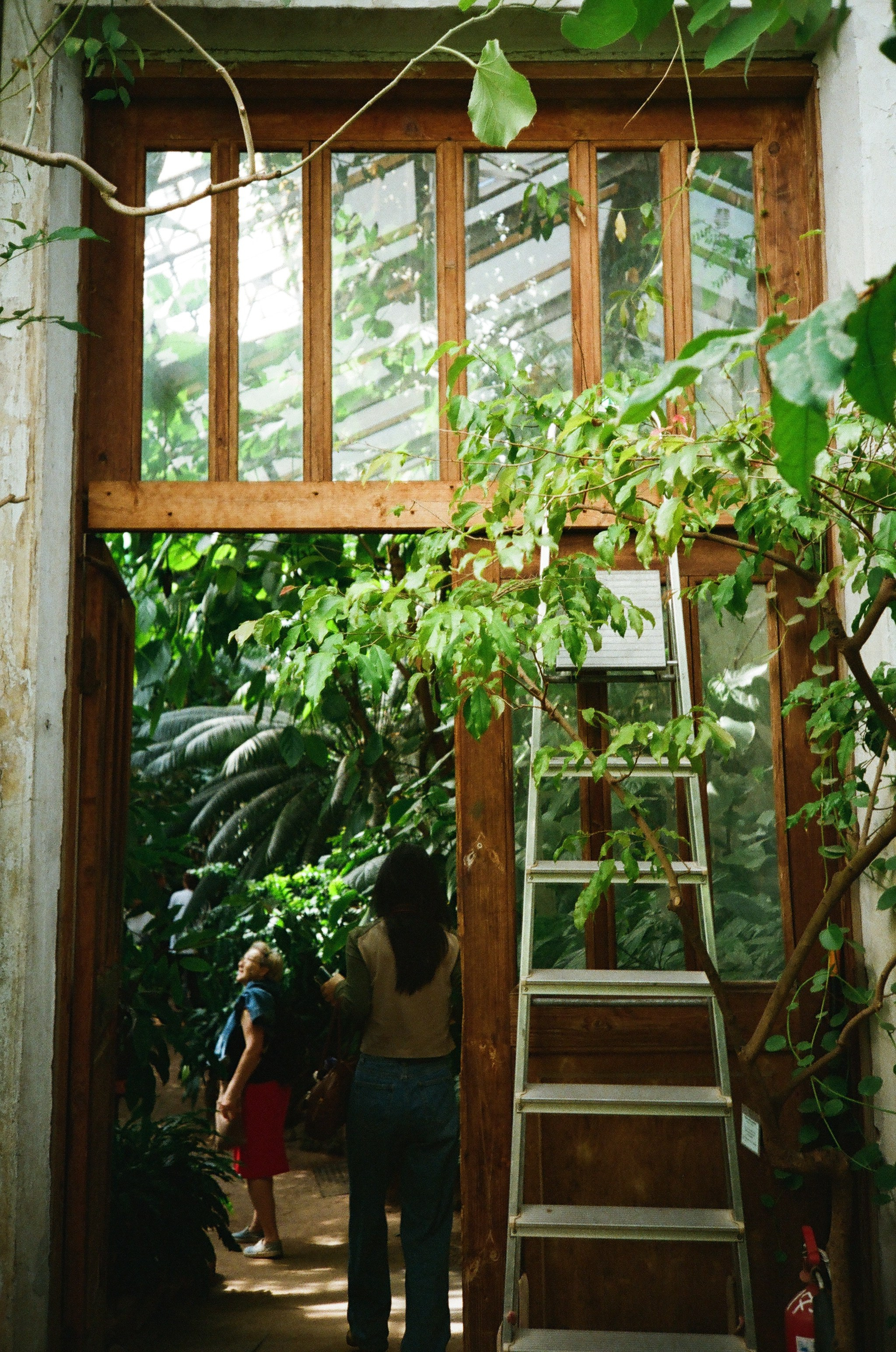 О пленке. Oksan_photo