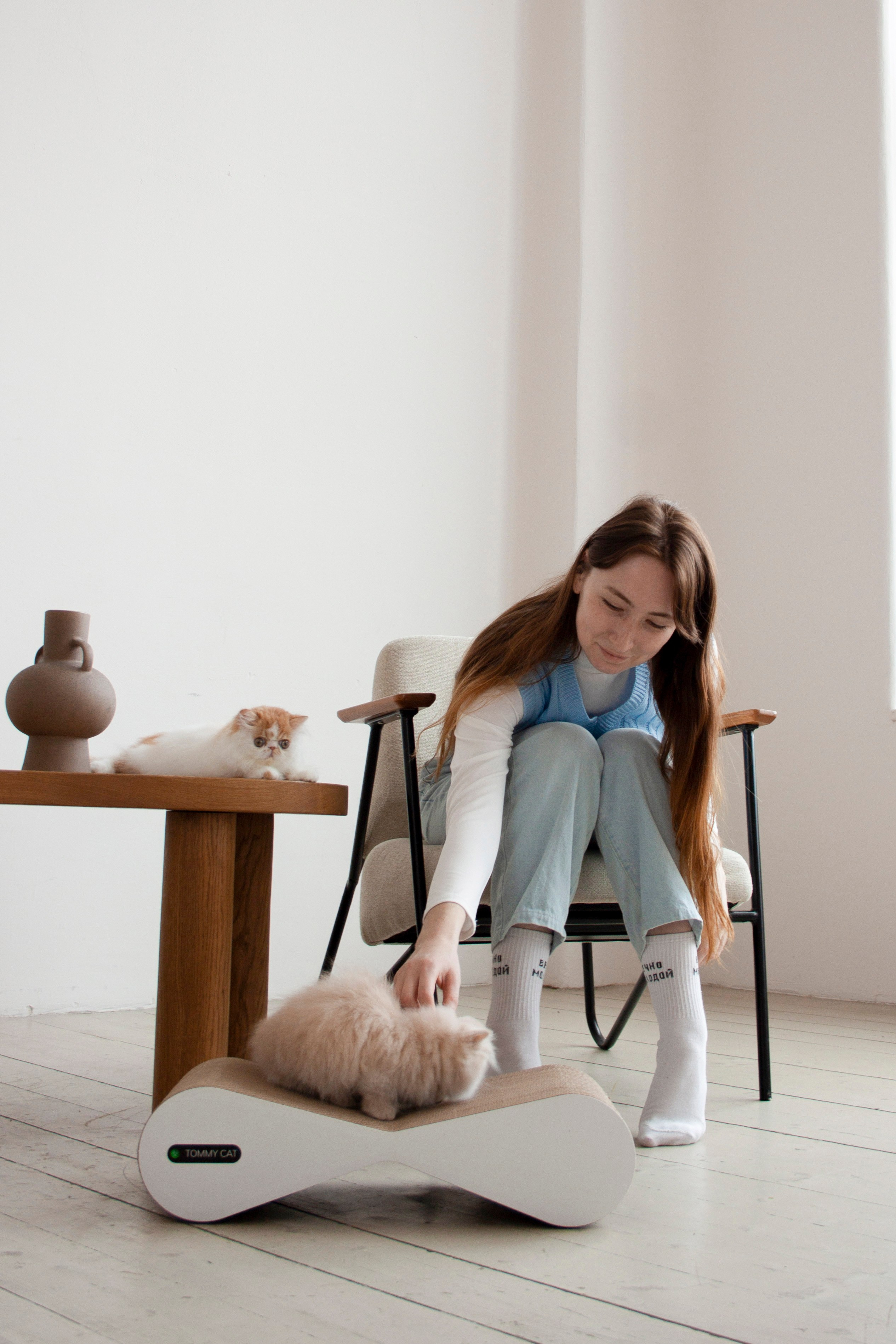 Работа с Tommy cat. Oksan_photo