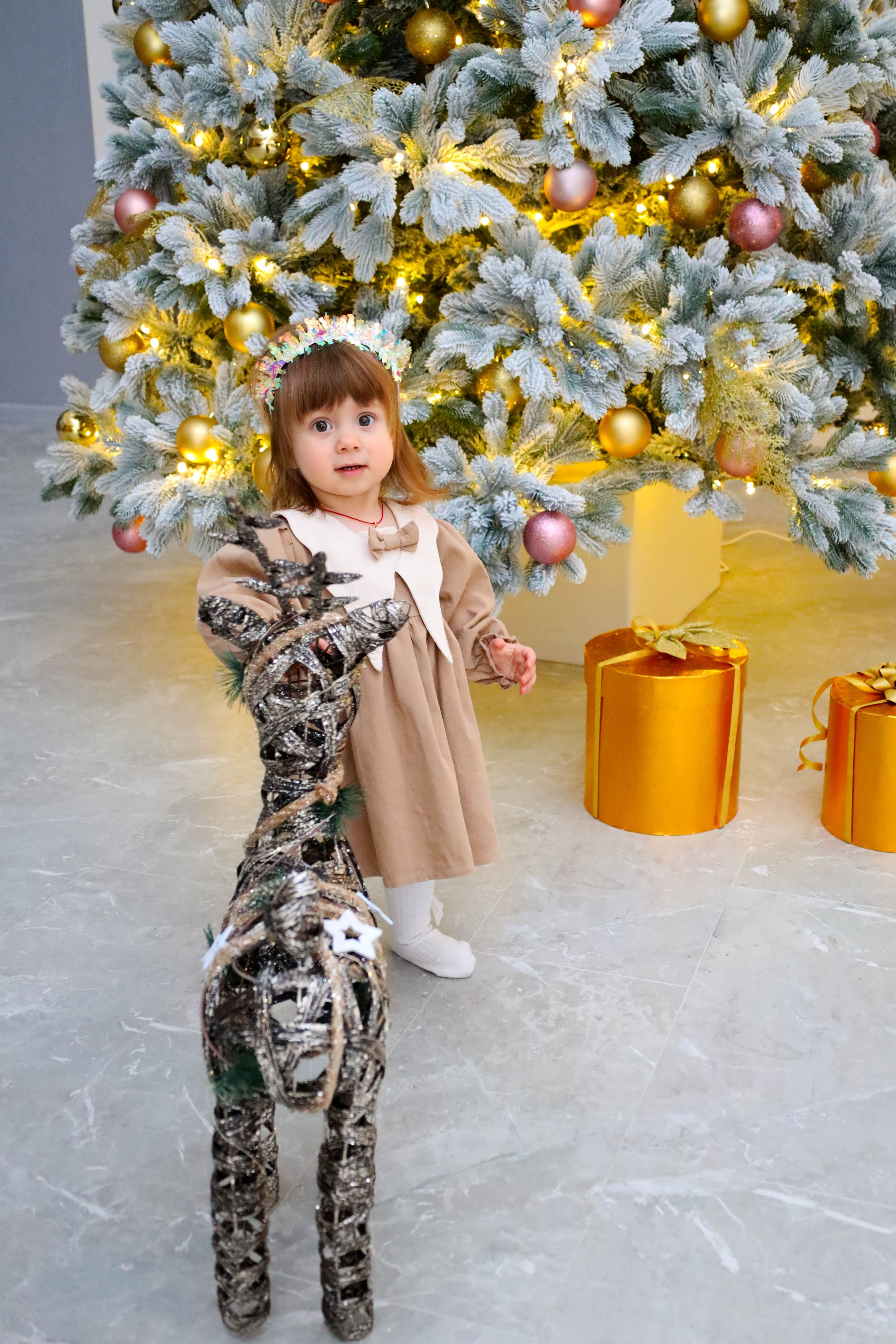 Семейная новогодняя. Свадебный фотограф ростовская область