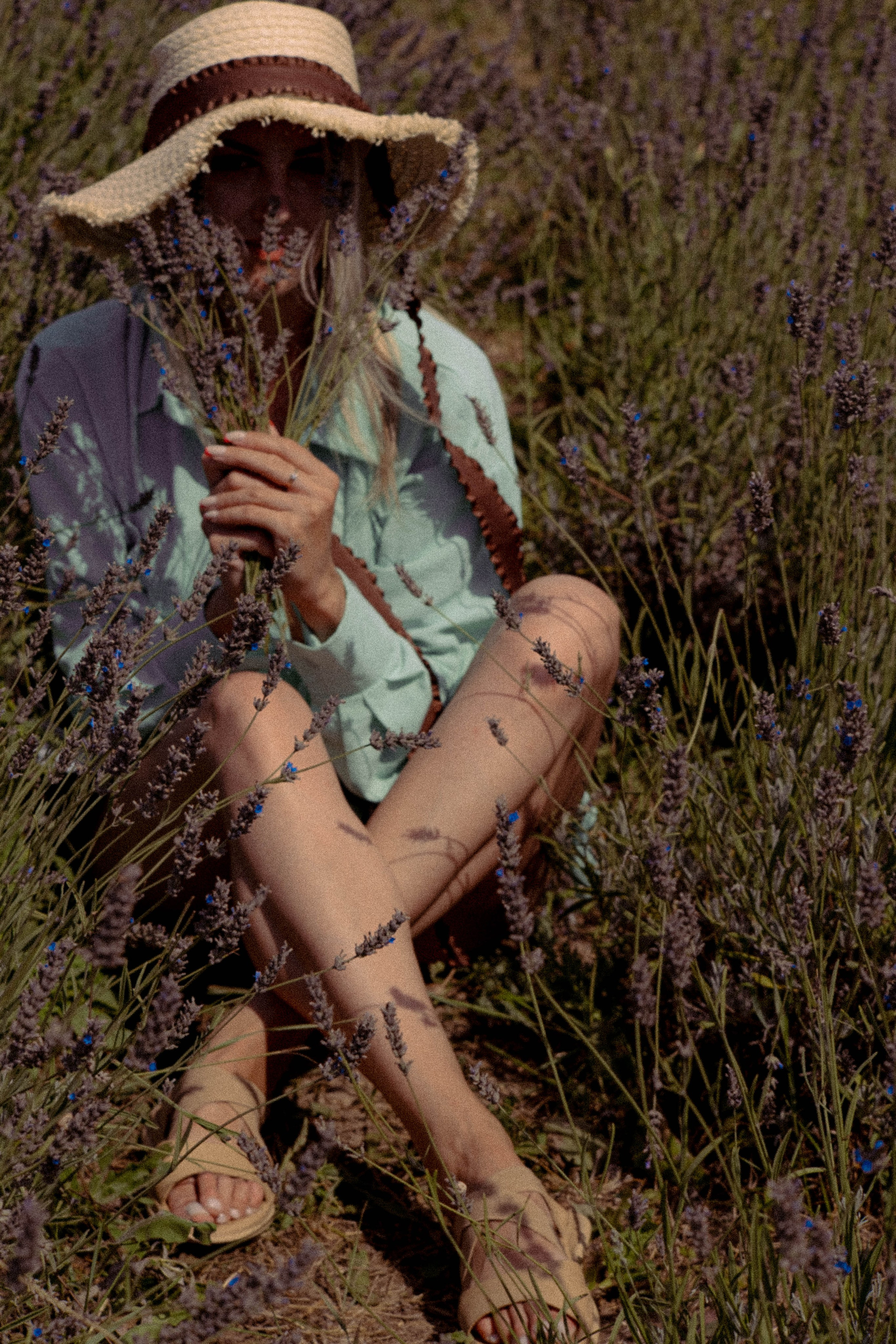 ЛАВАНВОДОВОЕ ПОЛЕ. Профессиональный фотограф, Санкт-Петербург — Виктория Богомолова