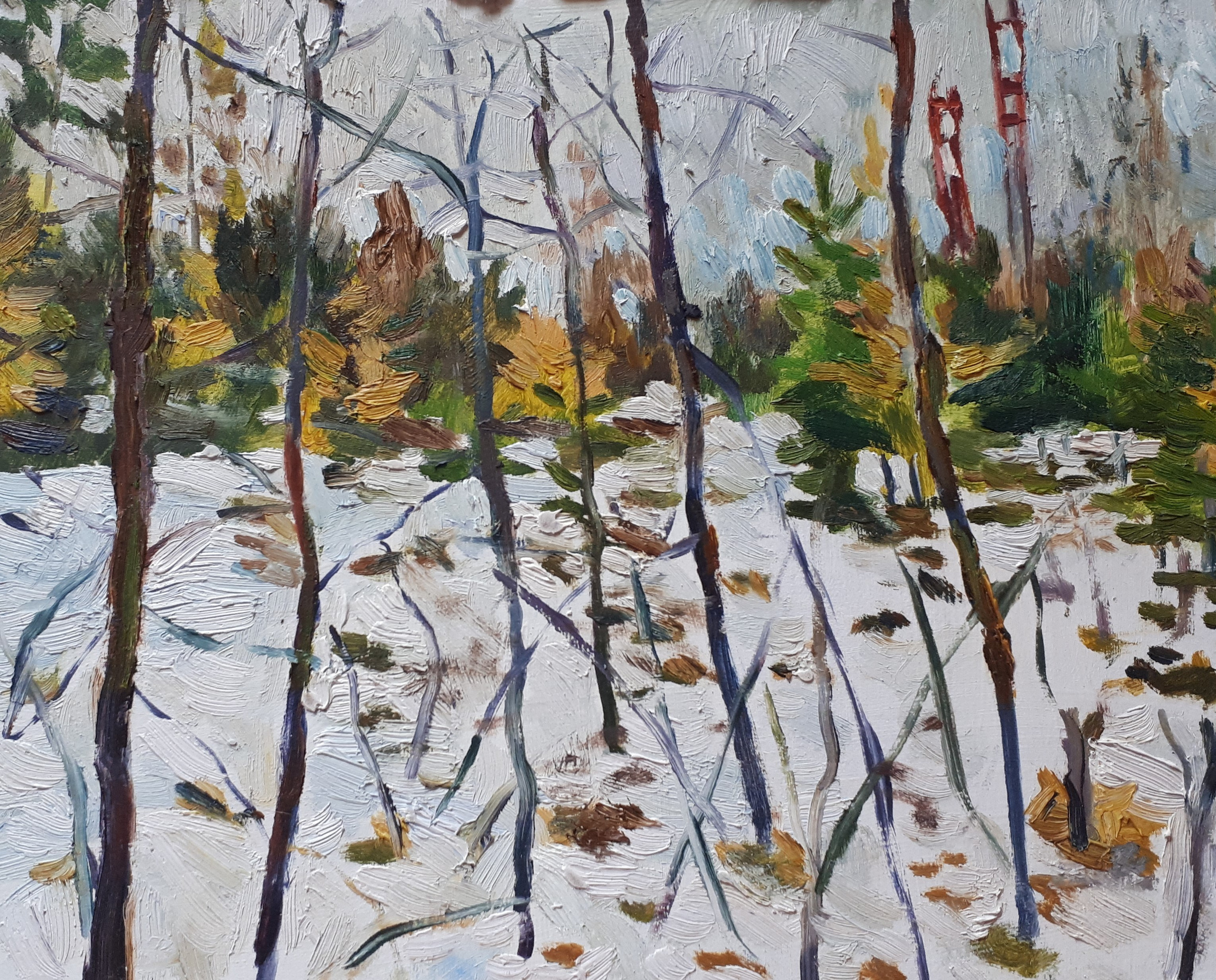 Сибирь, Байкал. Художник и гид по Камчатке Евгений Чайкин