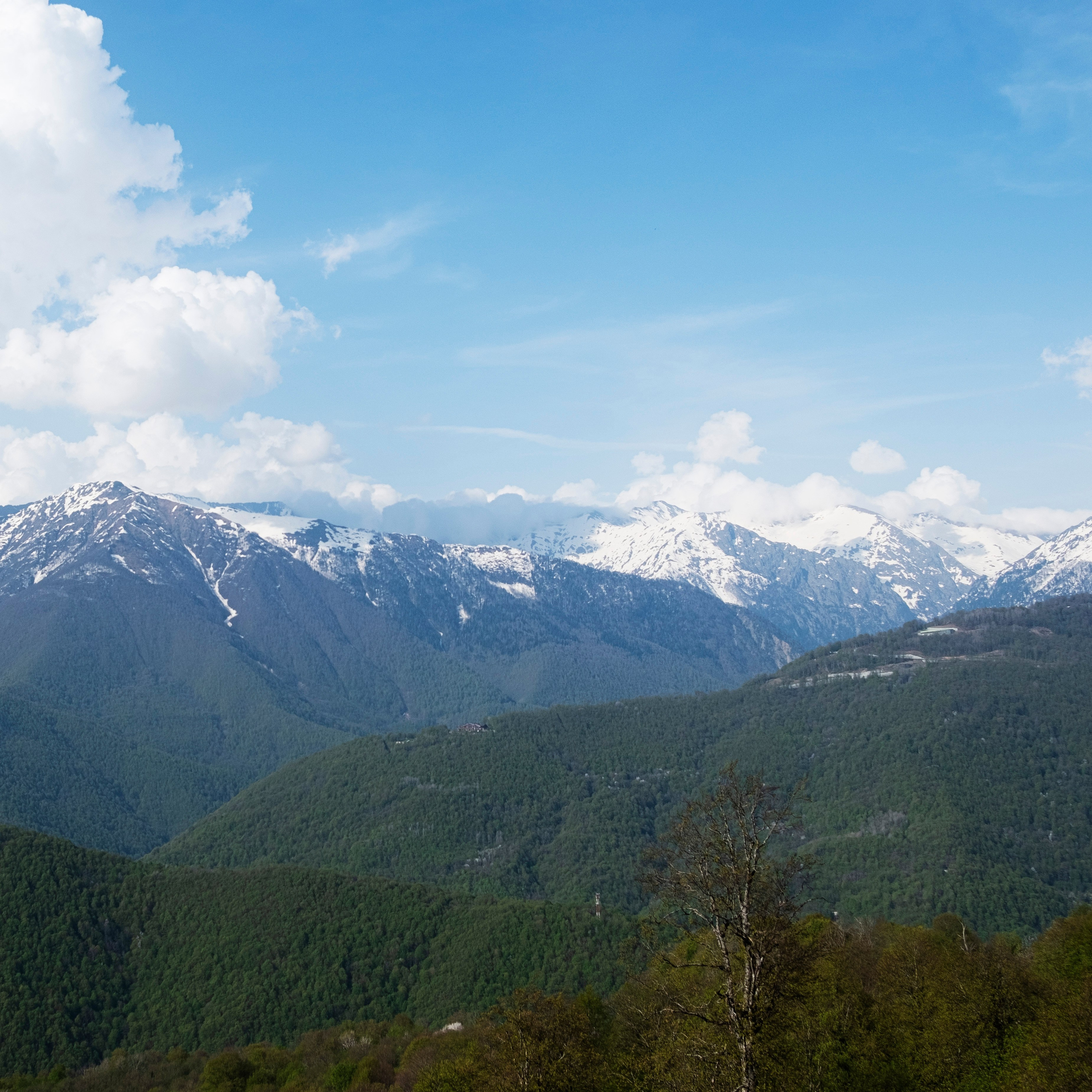 Сочи, 2022. Портретный фотограф в Москве Евгения Яковенко