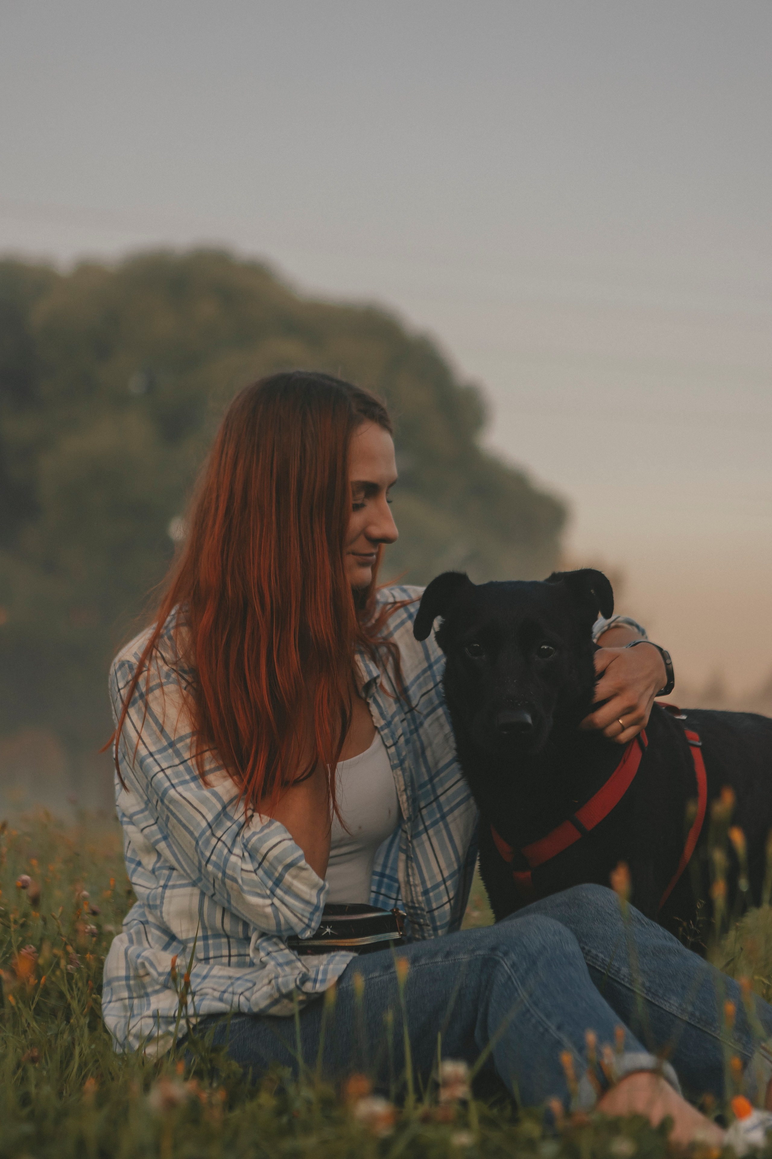 Саша и Дана. Фотограф-анималист в Санкт-Петербурге Алина Яхонт
