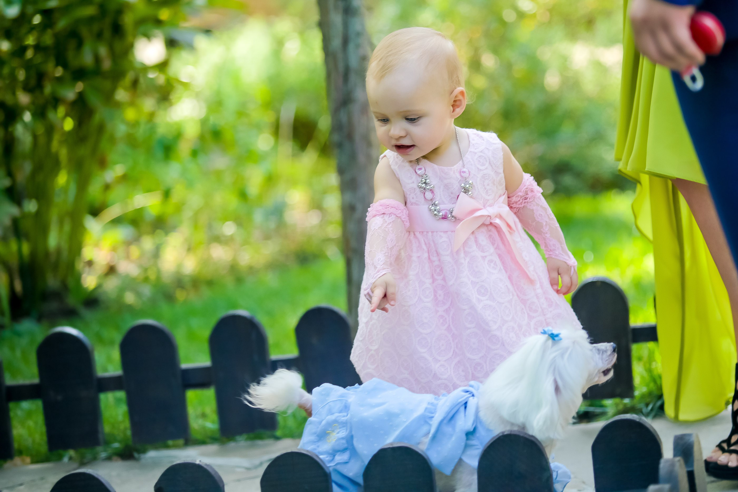 1 год. Максим Матвийченко и Виктория Басова профессионалы своего дела