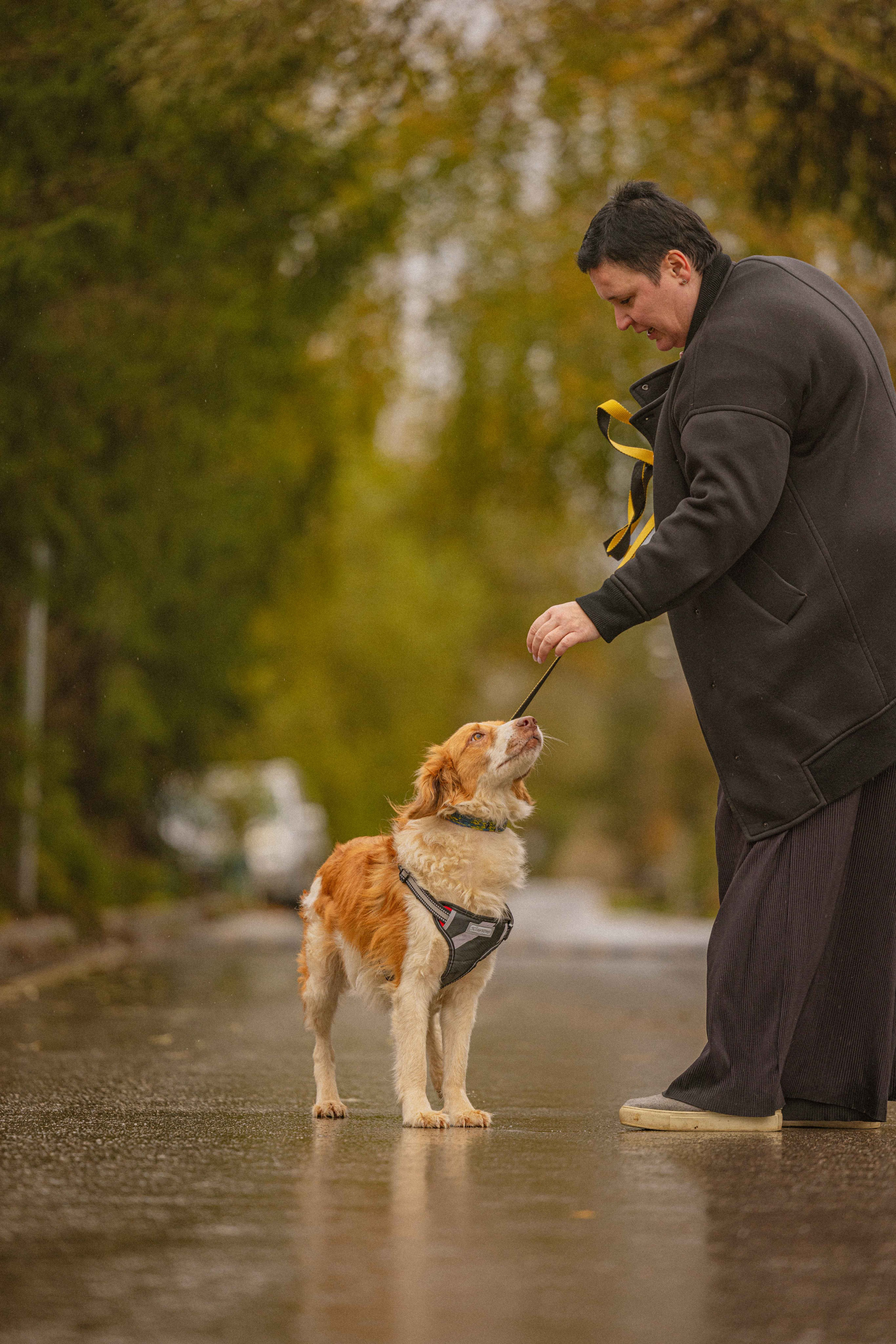 Передержка. Фотограф-анималист в Москве Лера Черноног